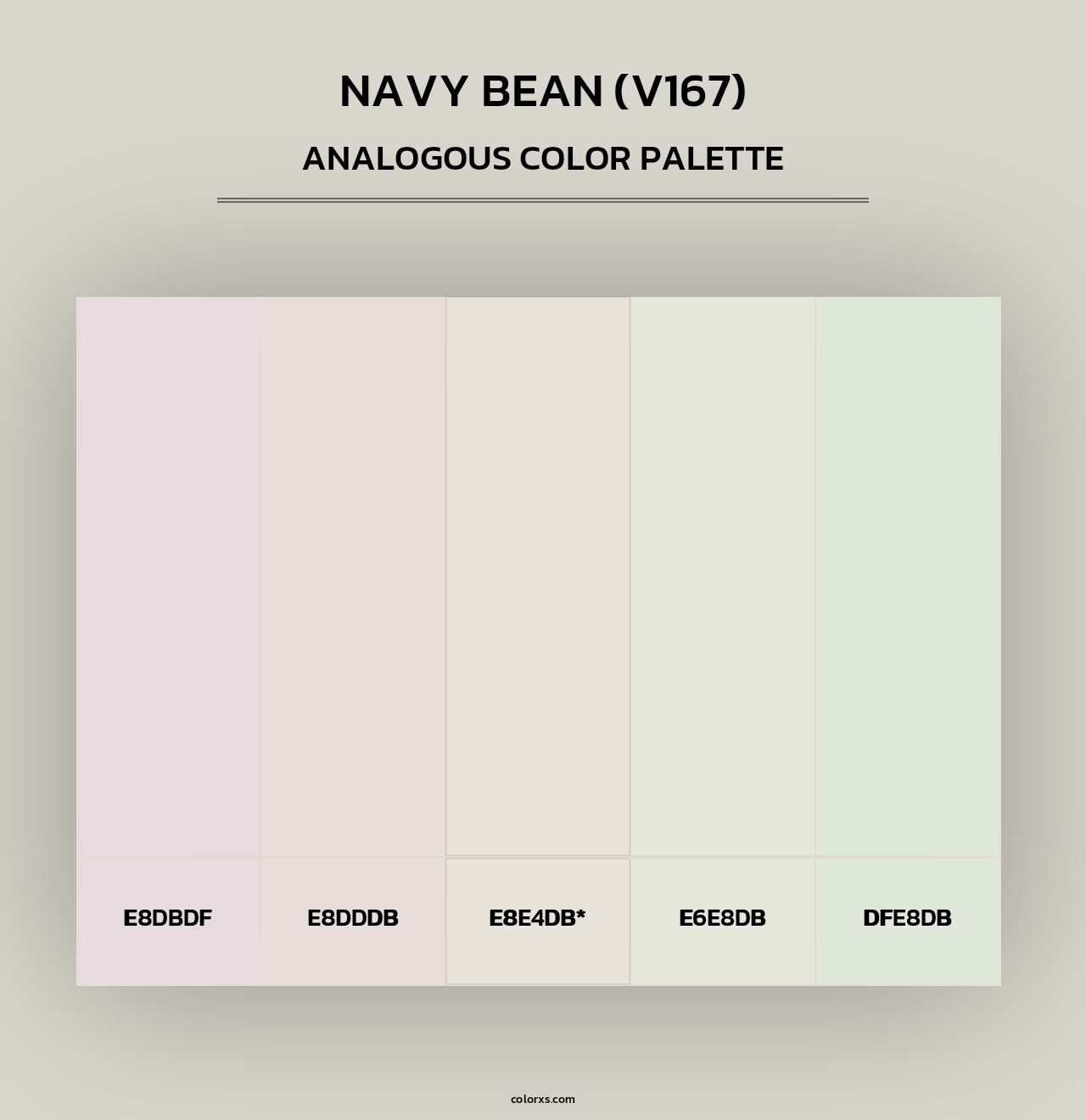 Navy Bean (V167) - Analogous Color Palette