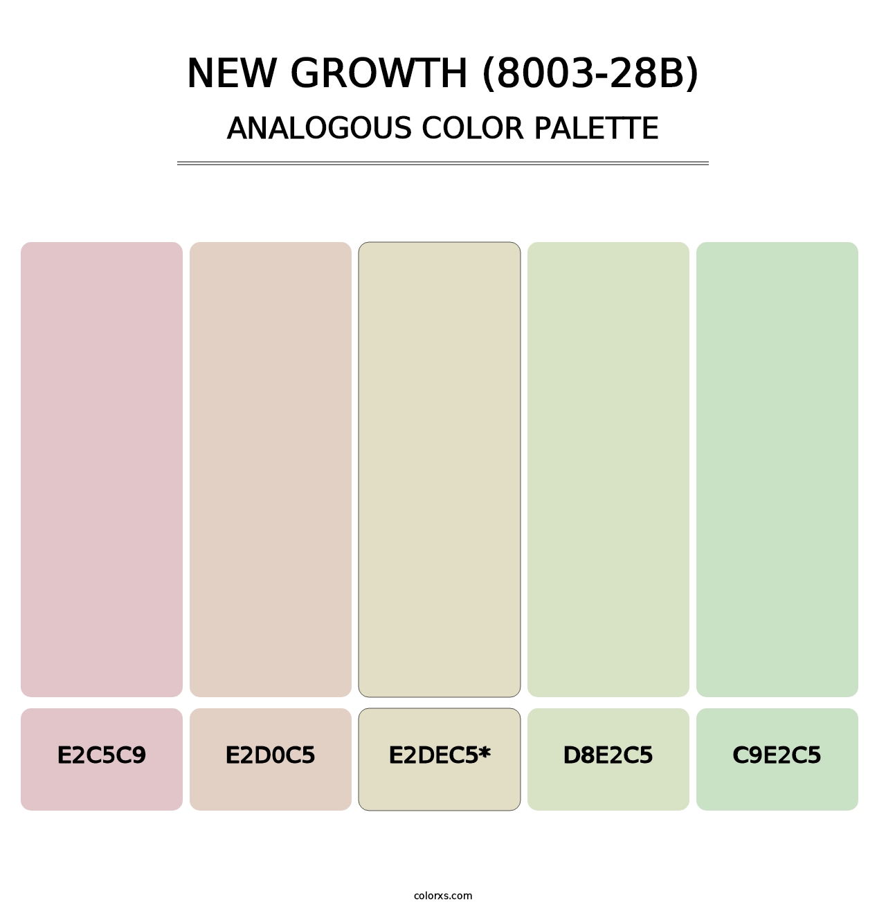 New Growth (8003-28B) - Analogous Color Palette