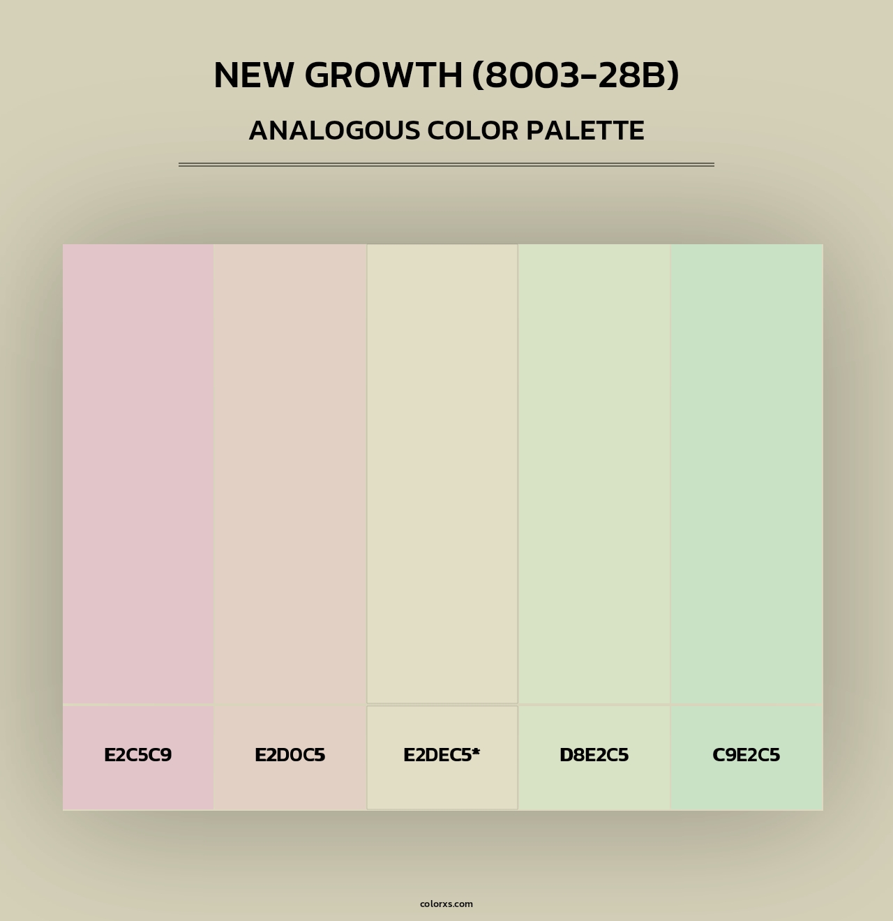 New Growth (8003-28B) - Analogous Color Palette