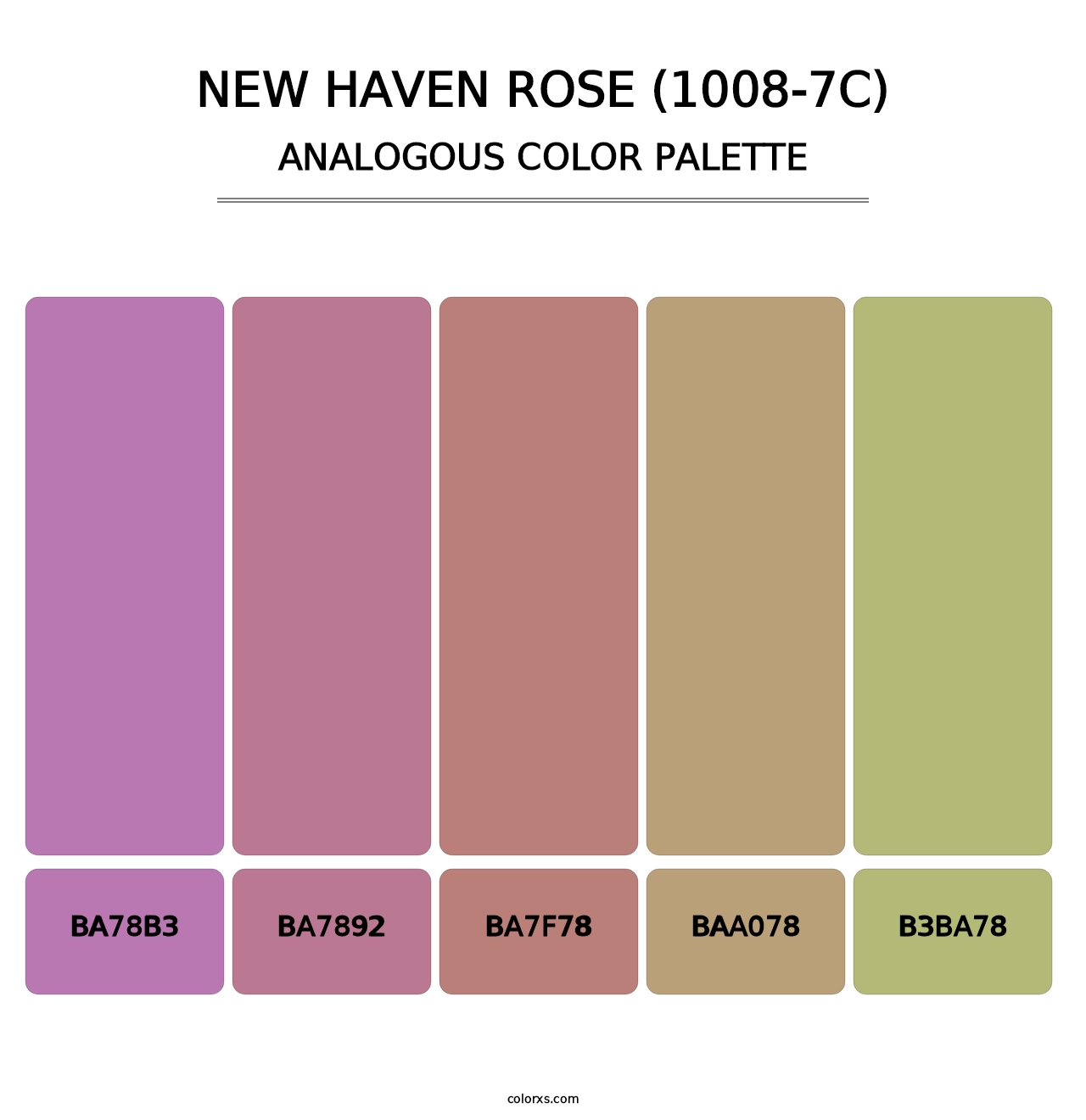 New Haven Rose (1008-7C) - Analogous Color Palette