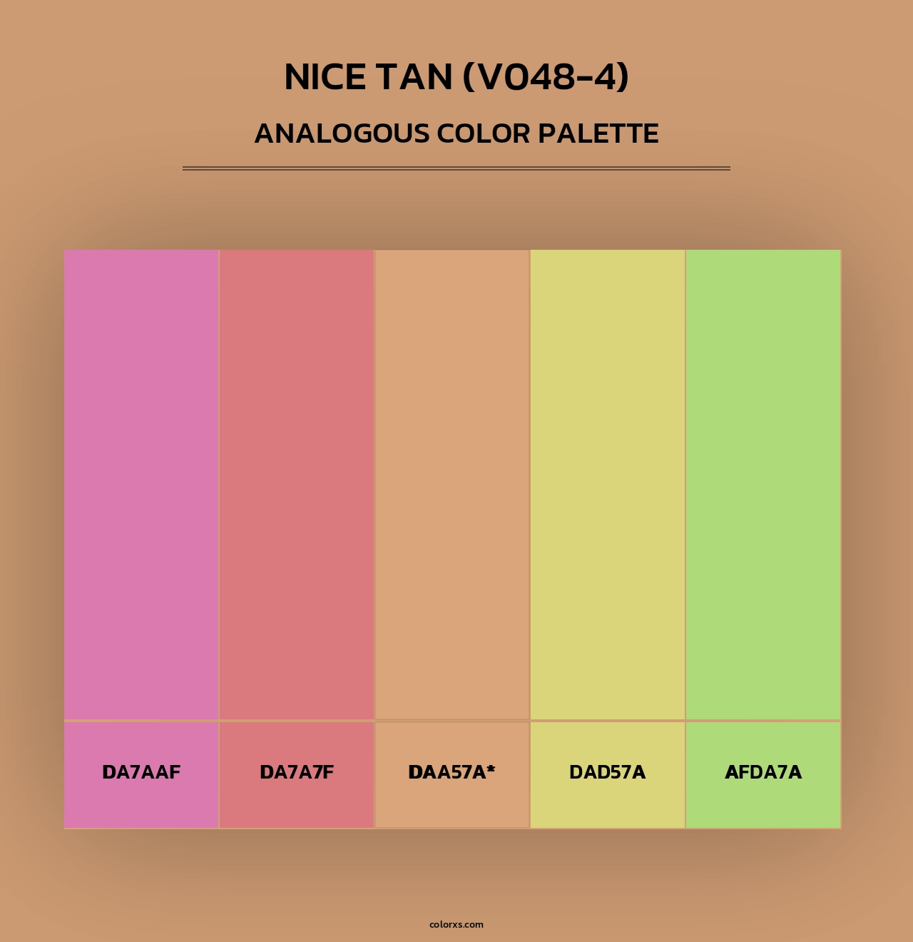 Nice Tan (V048-4) - Analogous Color Palette