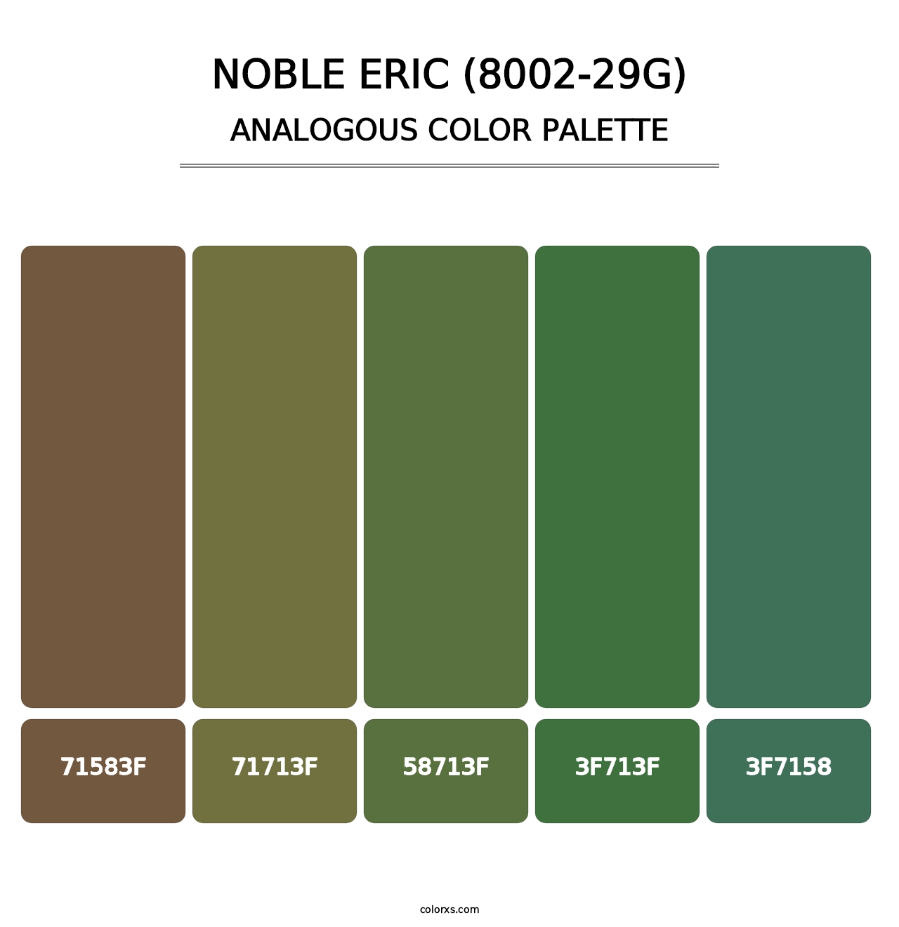 Noble Eric (8002-29G) - Analogous Color Palette