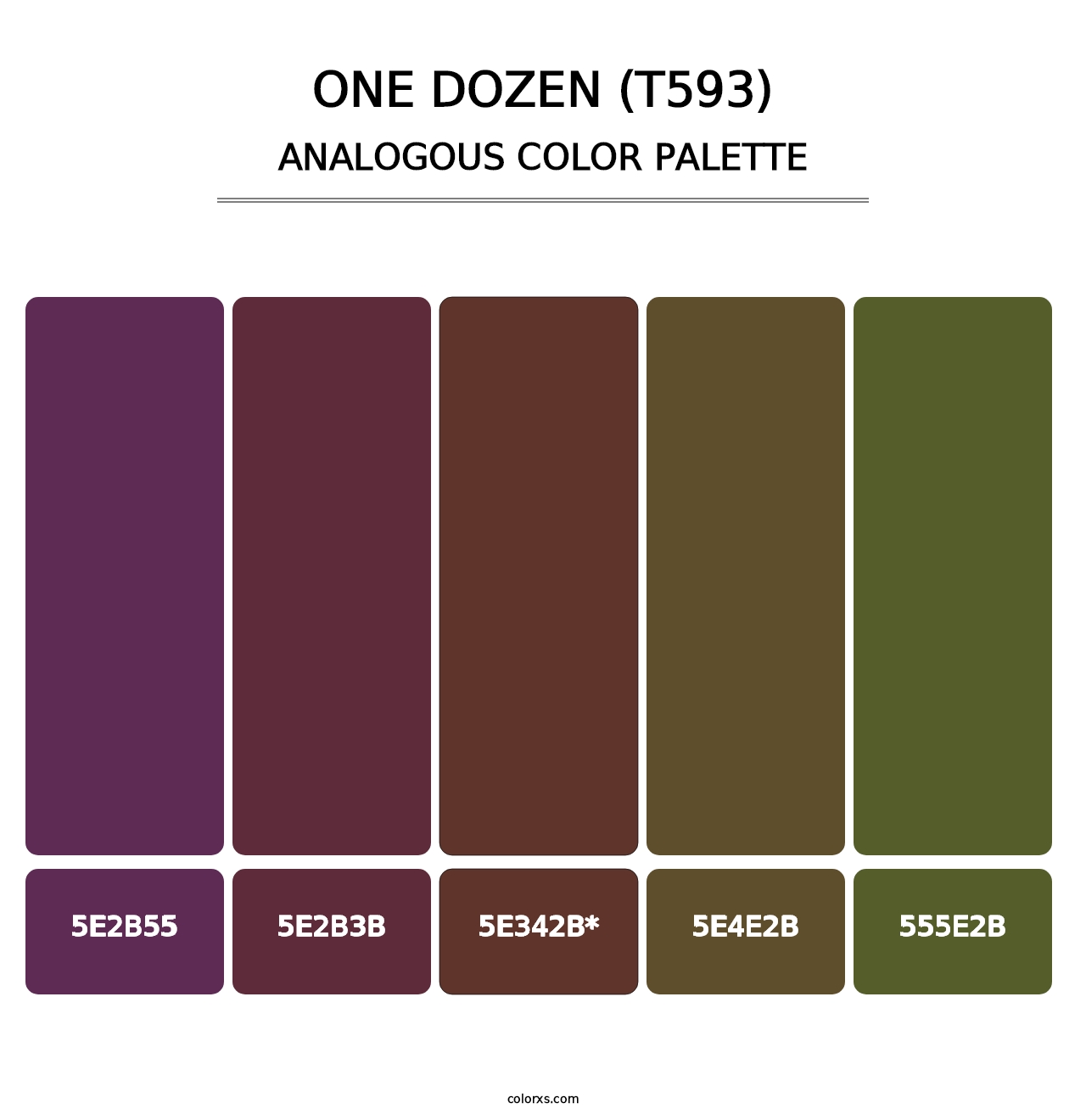 One Dozen (T593) - Analogous Color Palette