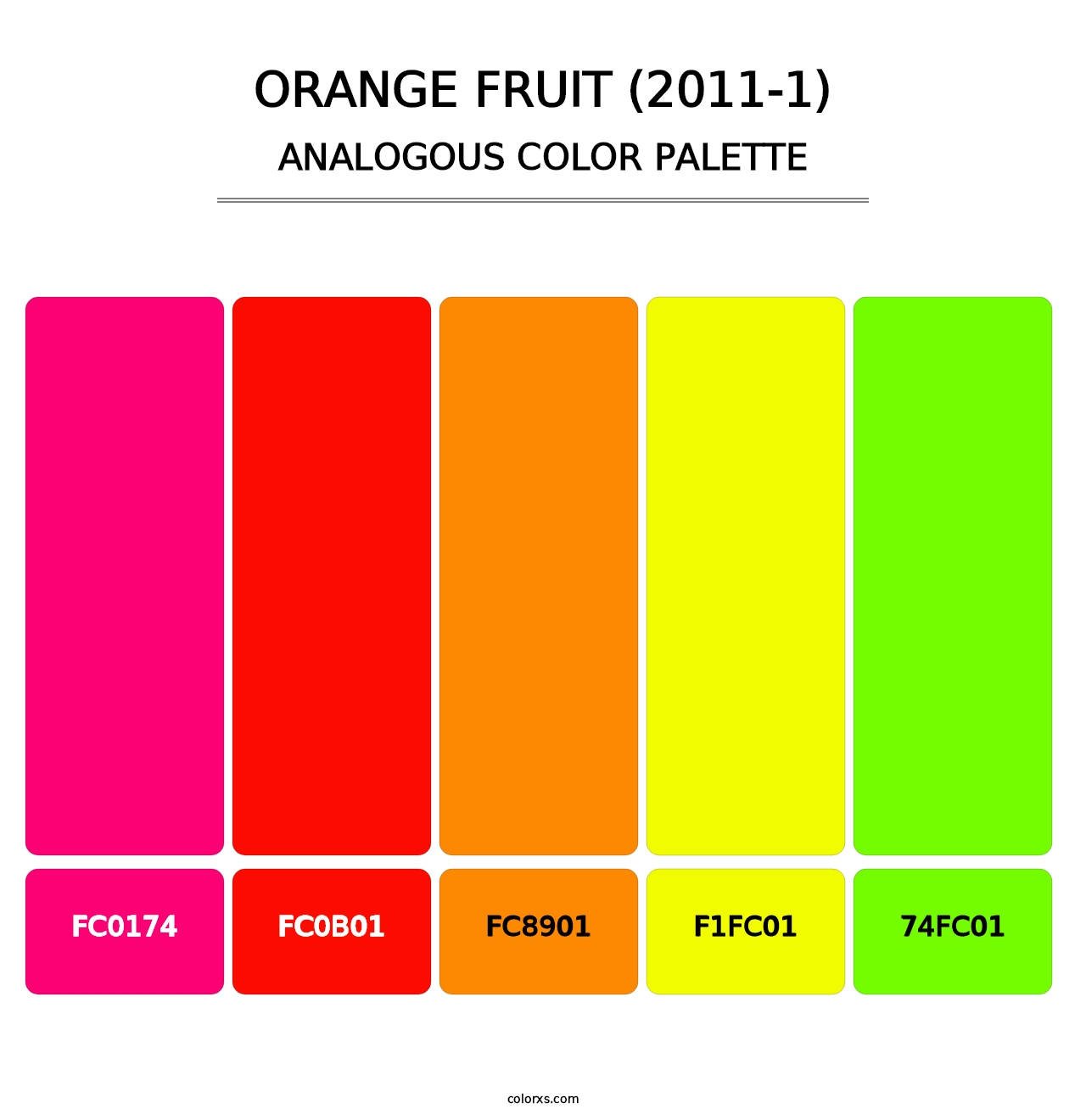 Orange Fruit (2011-1) - Analogous Color Palette