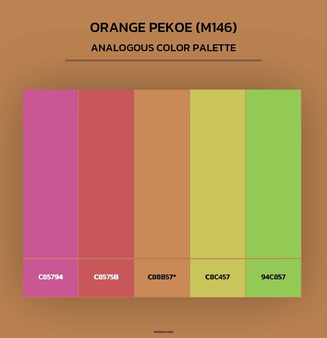 Orange Pekoe (M146) - Analogous Color Palette