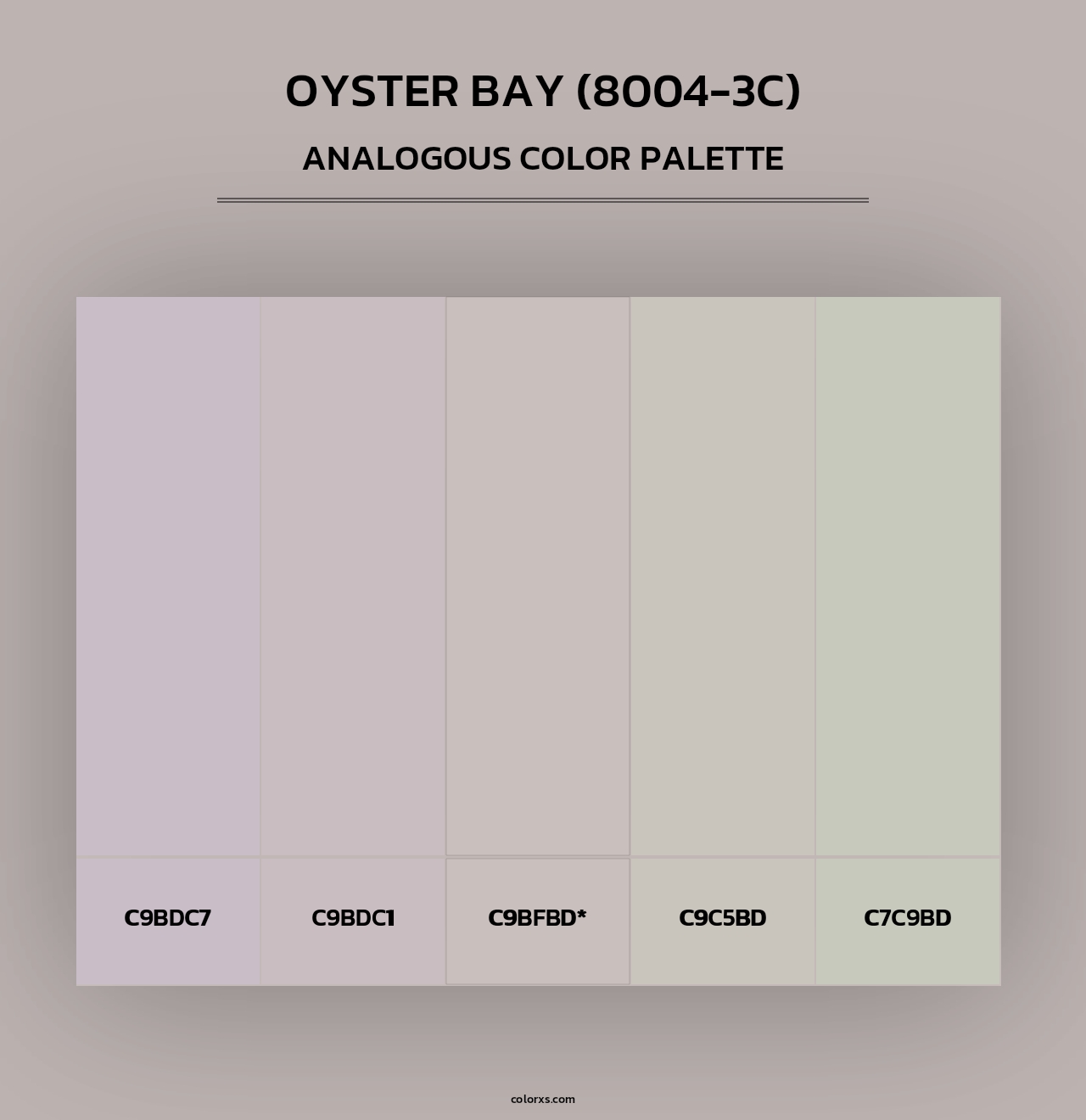 Oyster Bay (8004-3C) - Analogous Color Palette