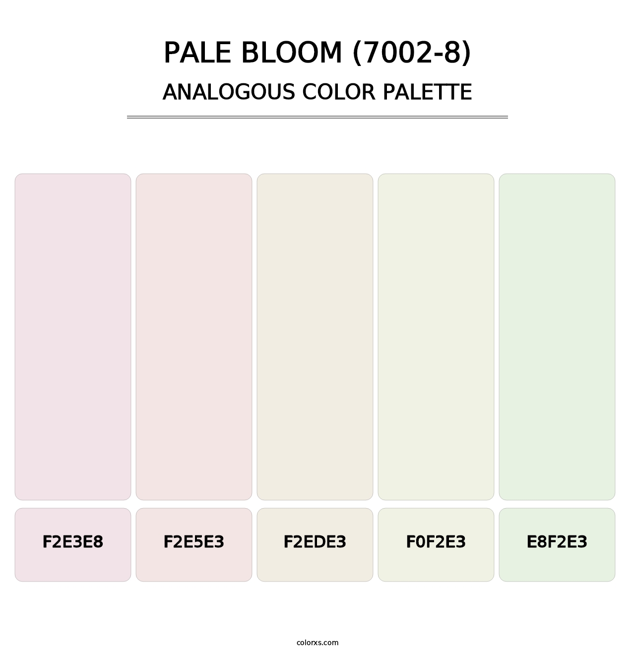 Pale Bloom (7002-8) - Analogous Color Palette