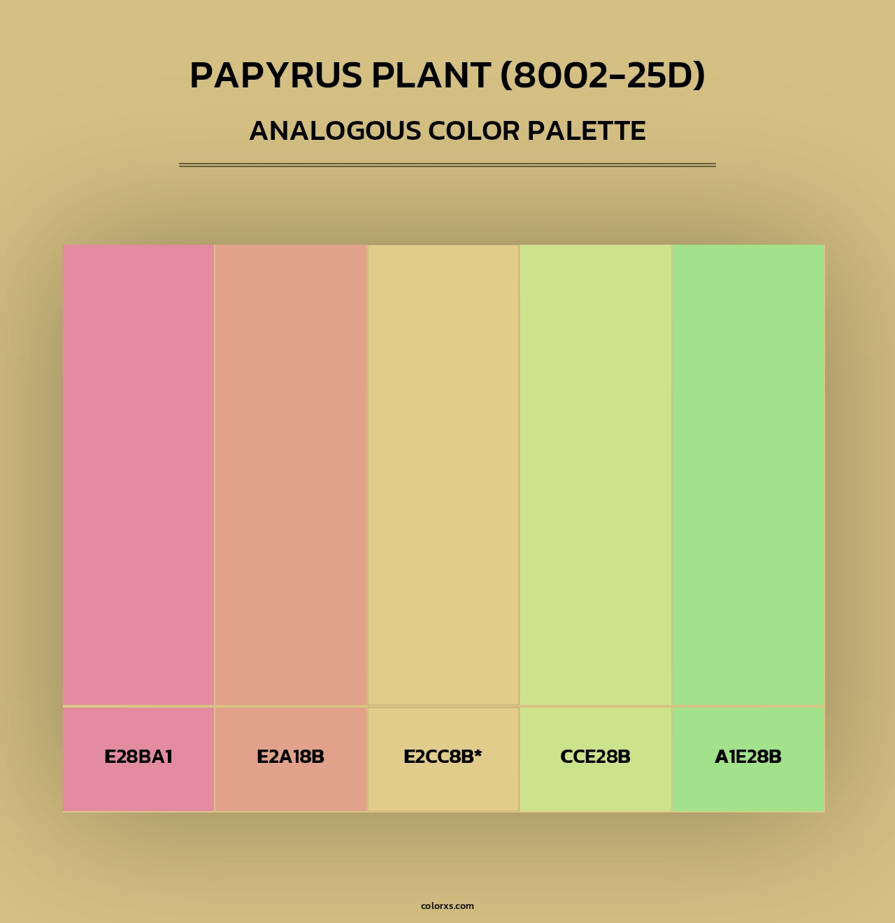 Papyrus Plant (8002-25D) - Analogous Color Palette