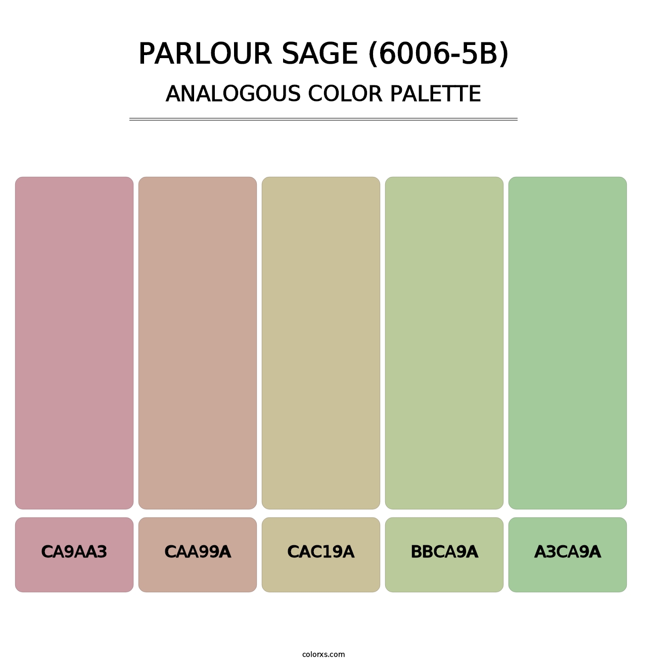 Parlour Sage (6006-5B) - Analogous Color Palette