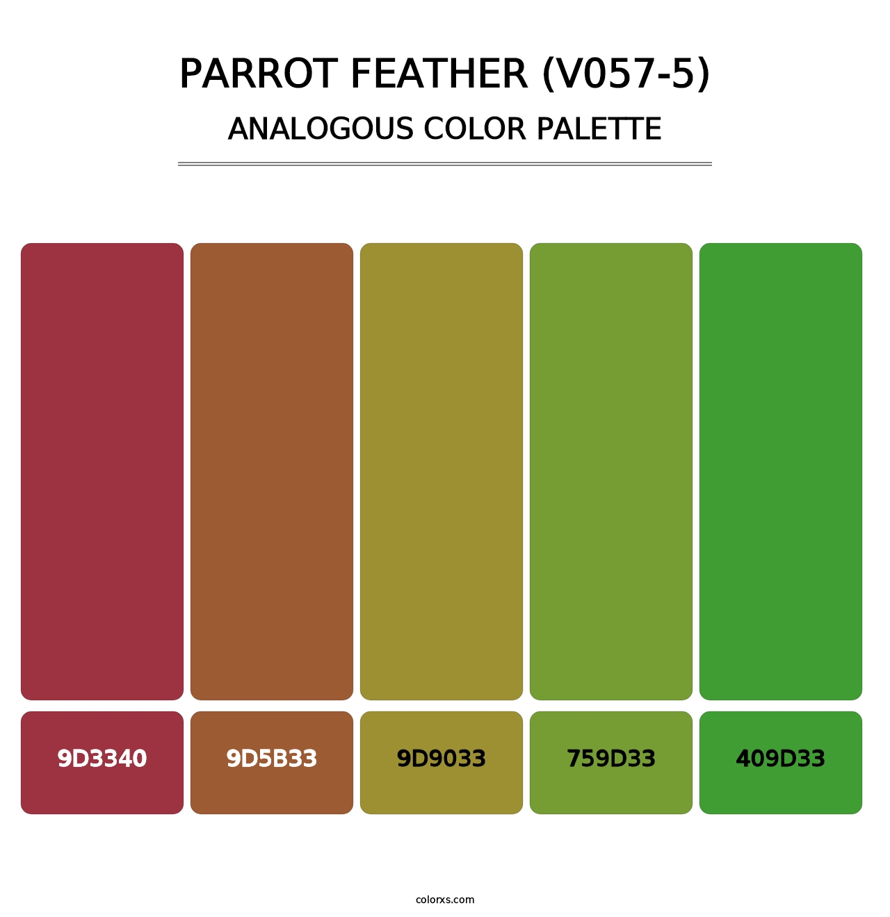 Parrot Feather (V057-5) - Analogous Color Palette
