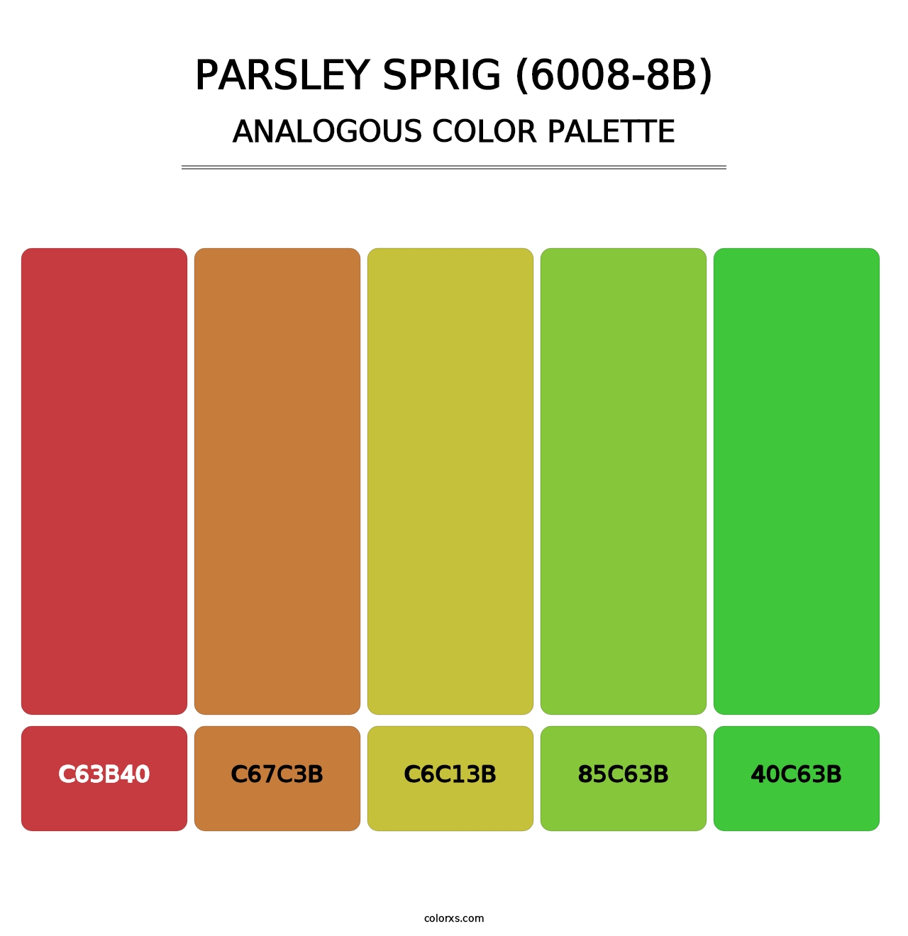 Parsley Sprig (6008-8B) - Analogous Color Palette