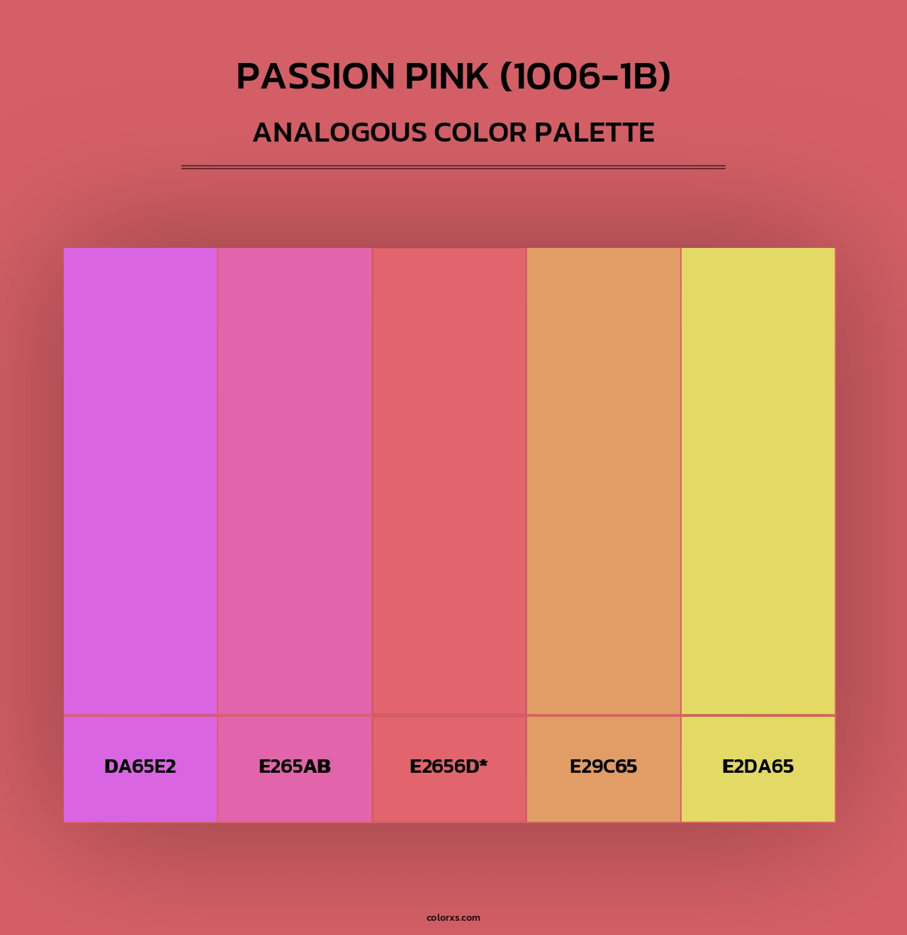 Passion Pink (1006-1B) - Analogous Color Palette
