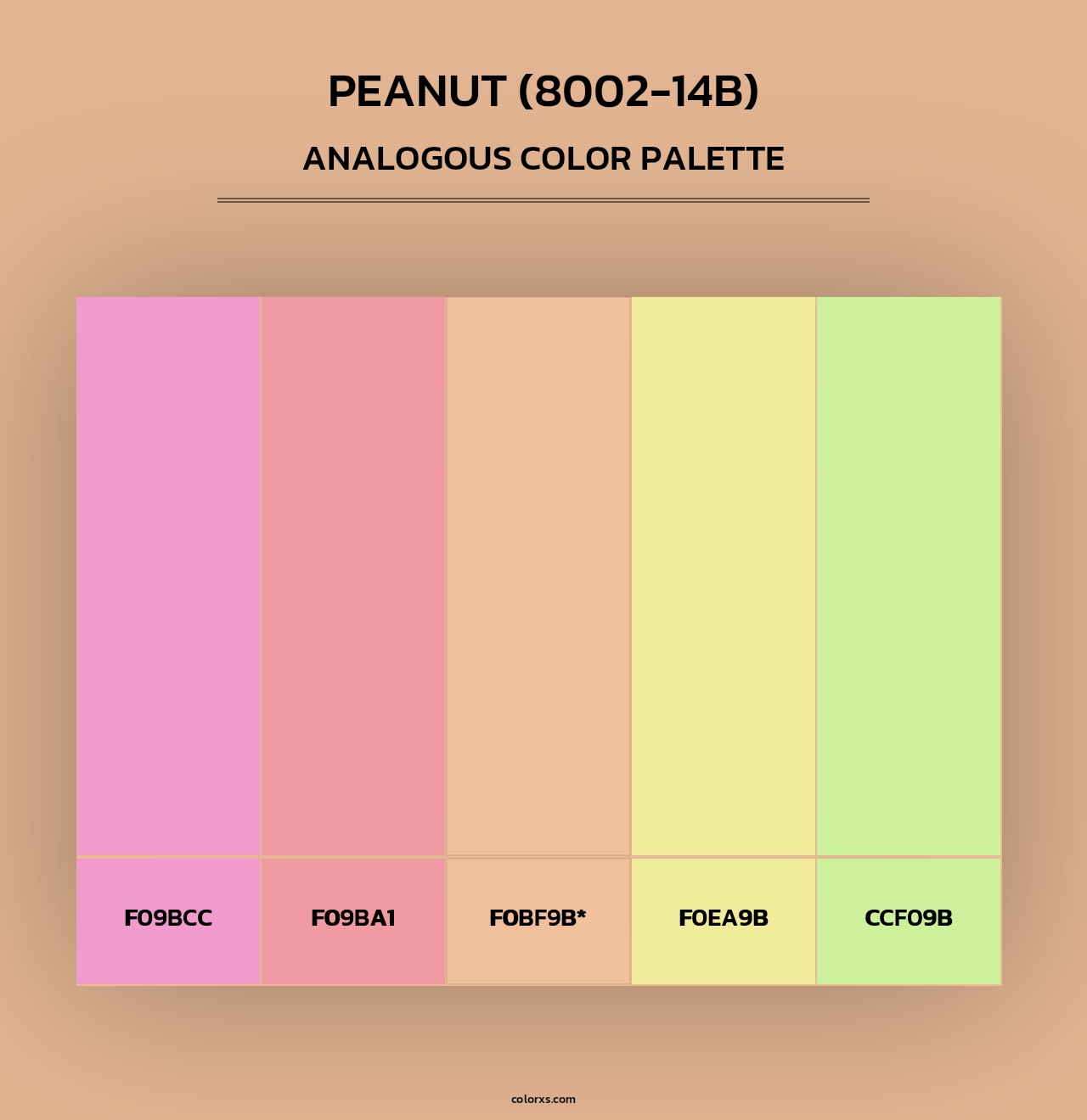 Peanut (8002-14B) - Analogous Color Palette