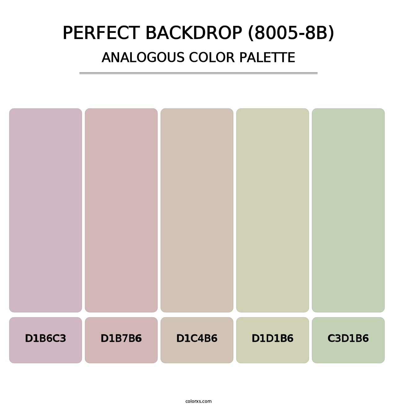 Perfect Backdrop (8005-8B) - Analogous Color Palette