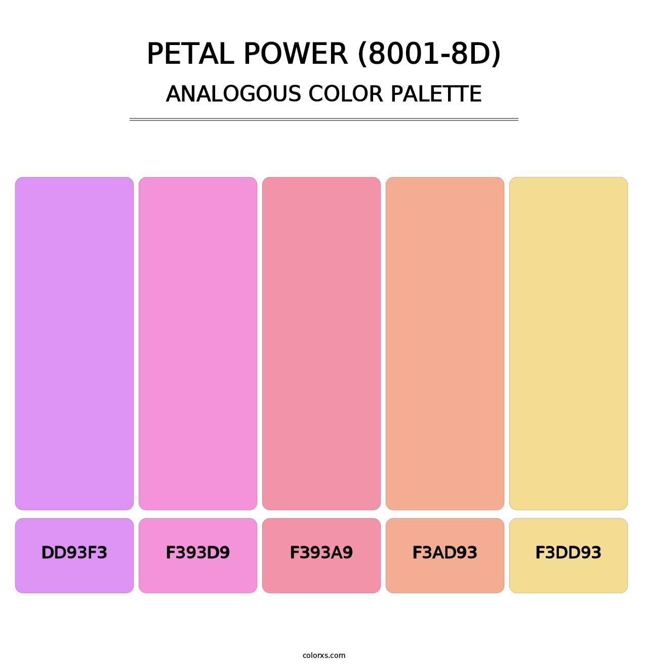 Petal Power (8001-8D) - Analogous Color Palette
