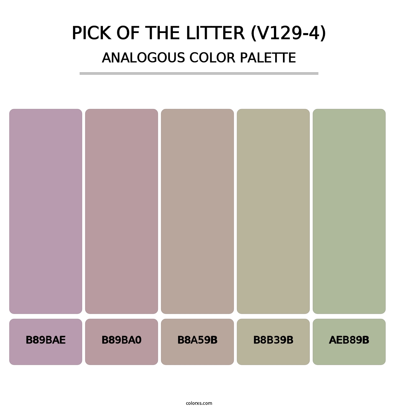 Pick of the Litter (V129-4) - Analogous Color Palette