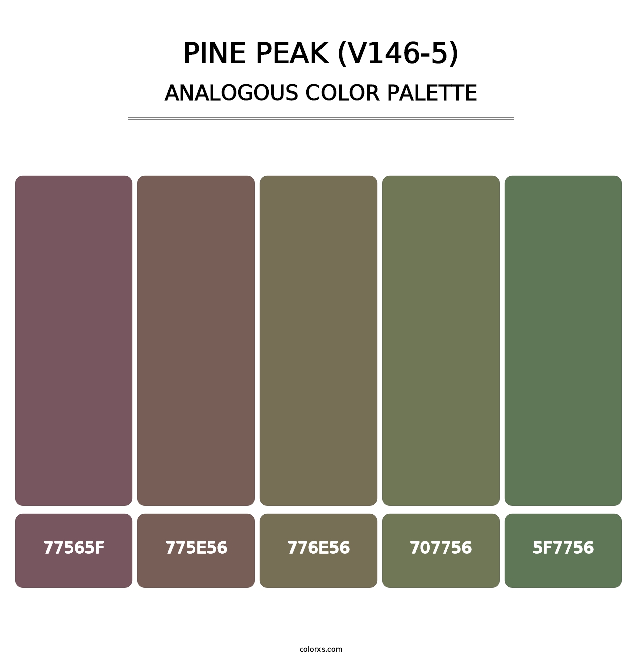 Pine Peak (V146-5) - Analogous Color Palette