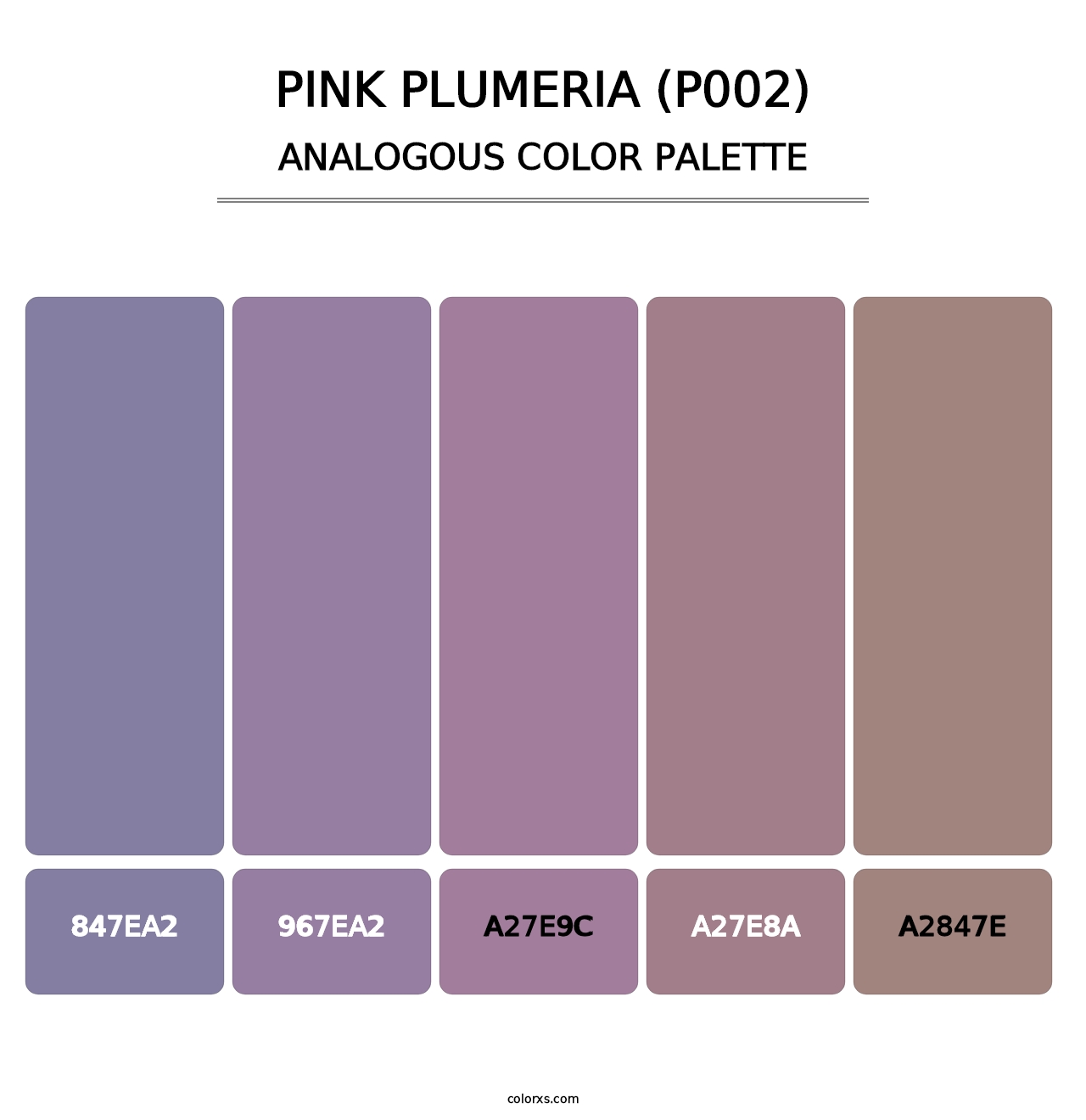 Pink Plumeria (P002) - Analogous Color Palette