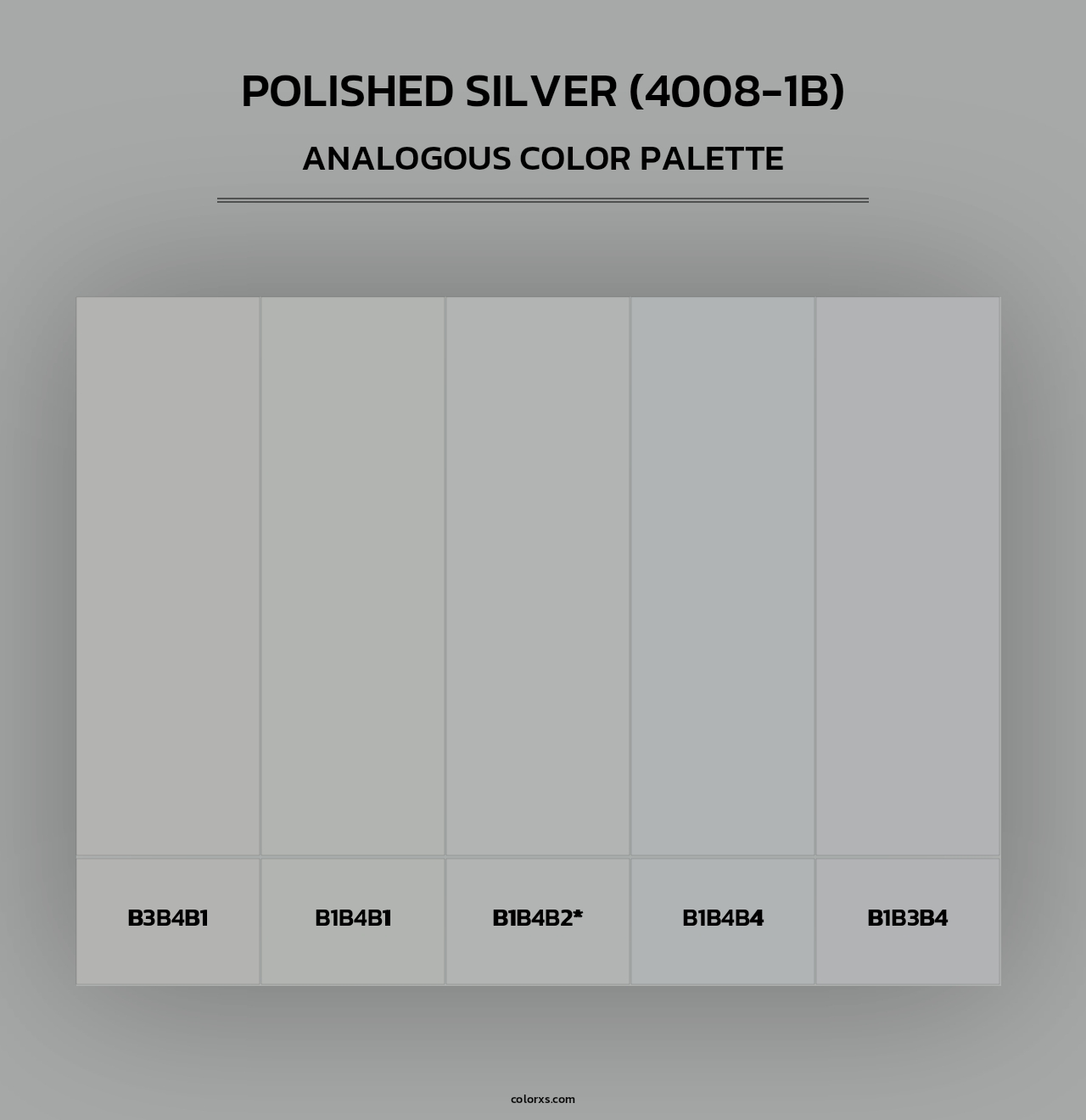 Polished Silver (4008-1B) - Analogous Color Palette