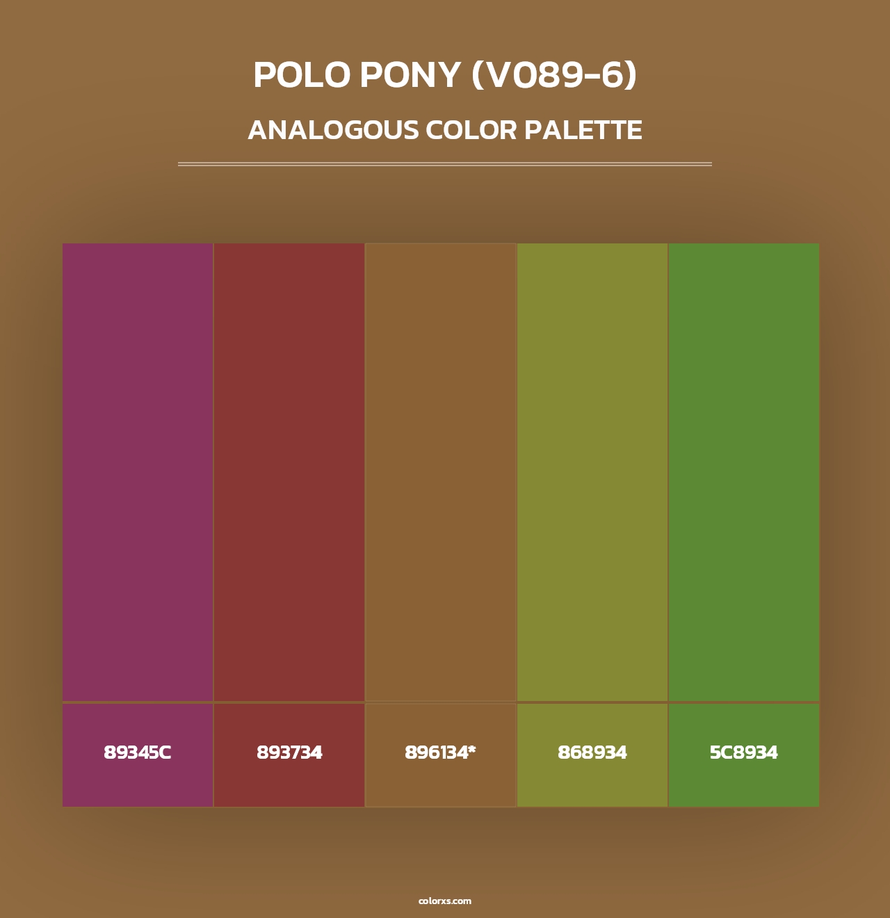 Polo Pony (V089-6) - Analogous Color Palette