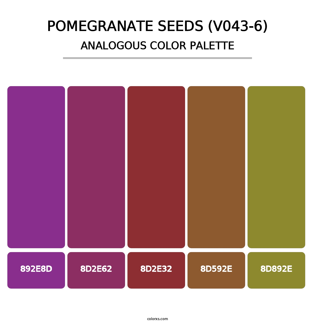 Pomegranate Seeds (V043-6) - Analogous Color Palette