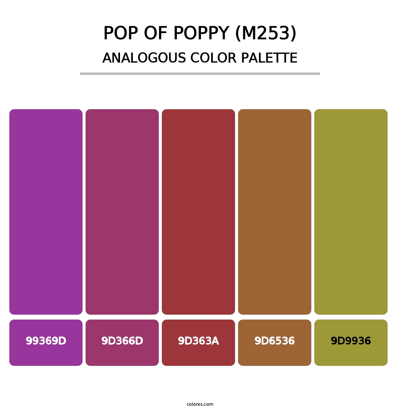 Pop of Poppy (M253) - Analogous Color Palette