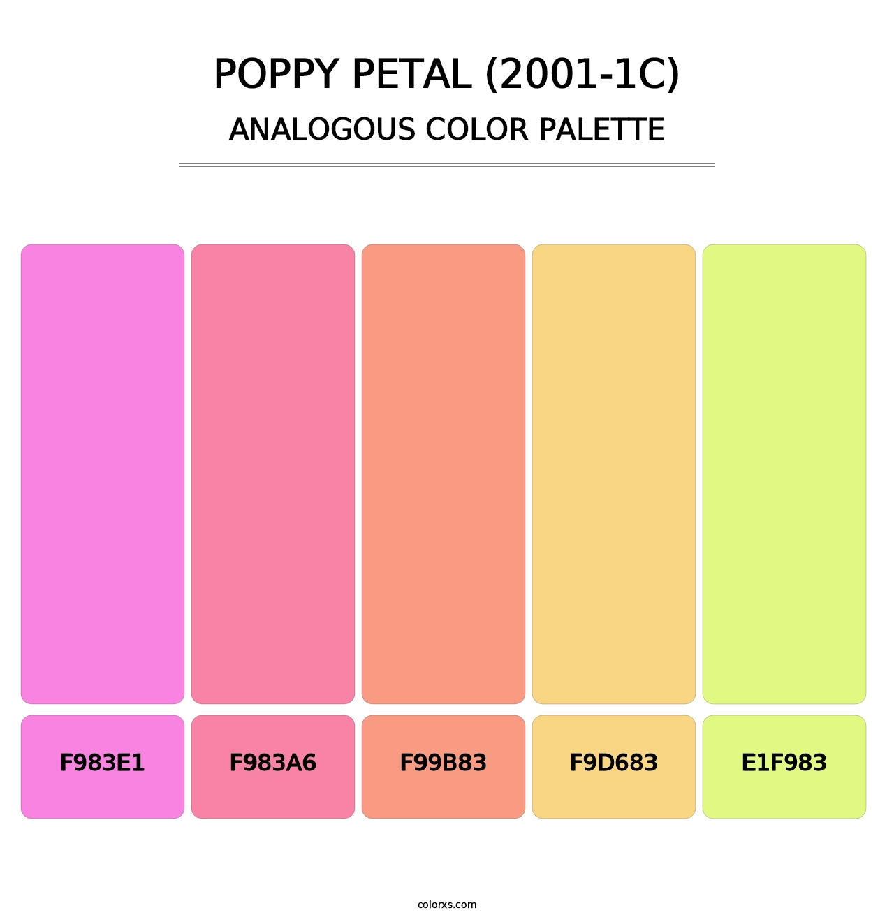 Poppy Petal (2001-1C) - Analogous Color Palette