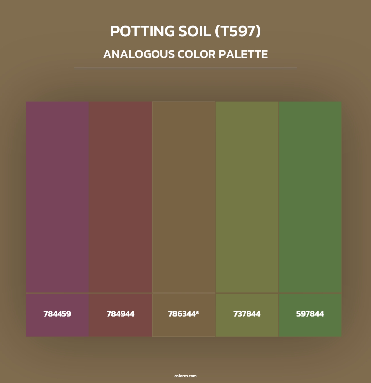 Potting Soil (T597) - Analogous Color Palette