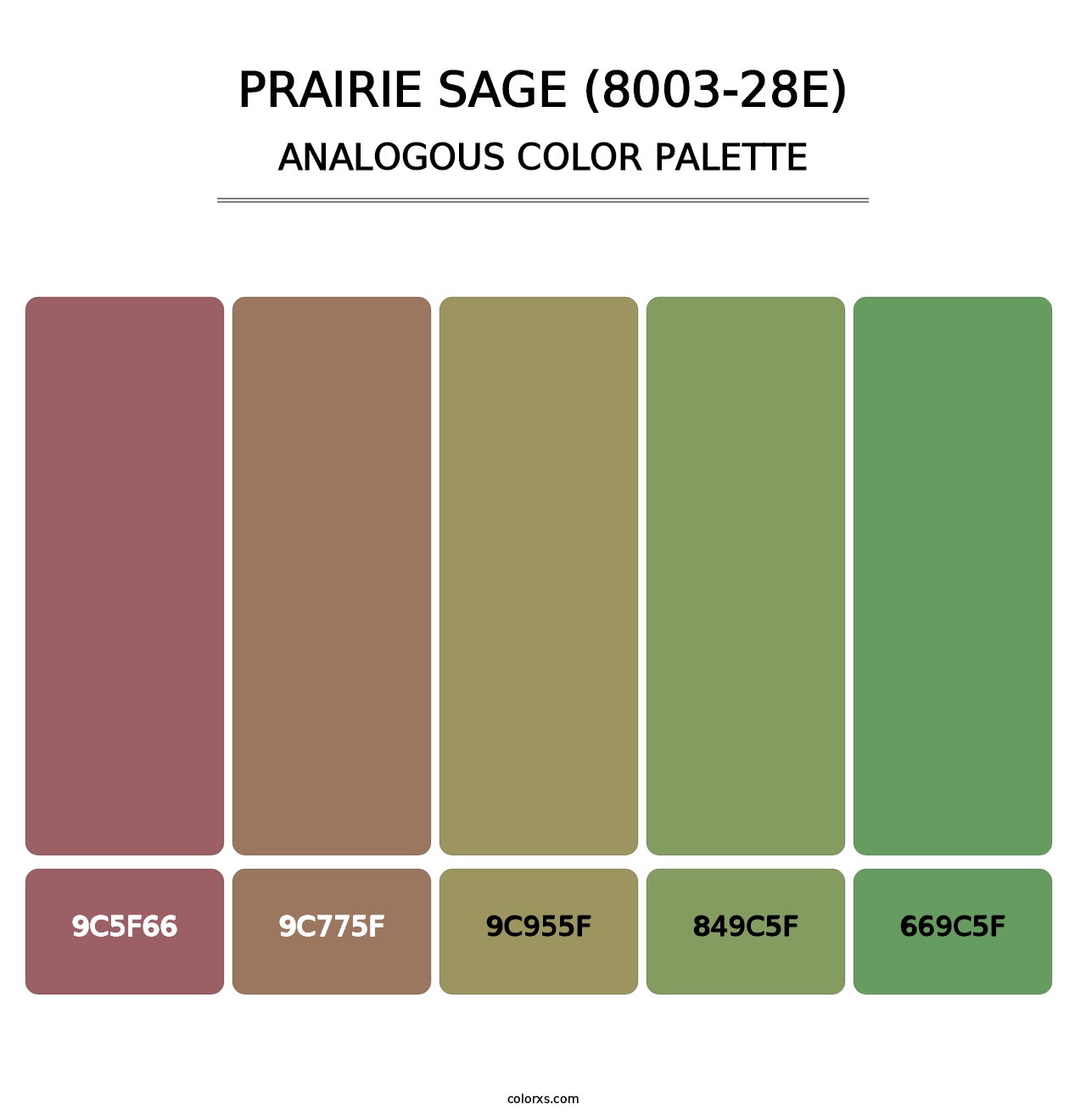 Prairie Sage (8003-28E) - Analogous Color Palette