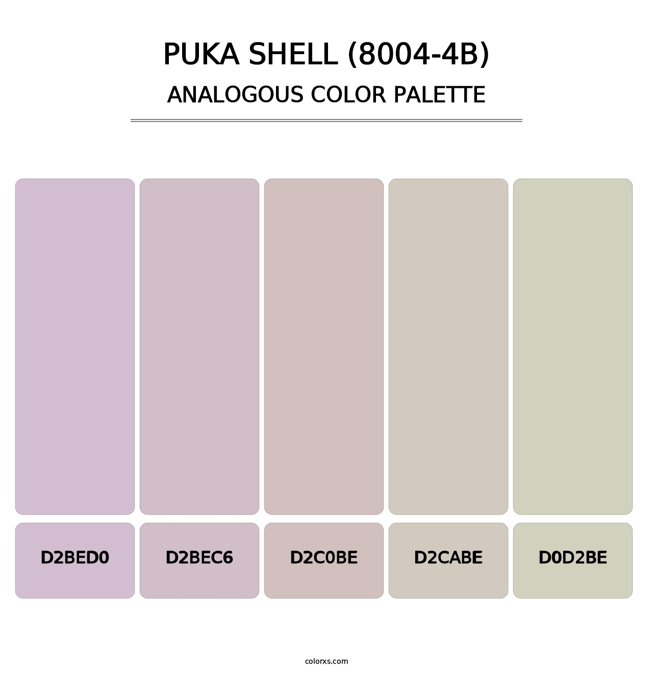 Puka Shell (8004-4B) - Analogous Color Palette