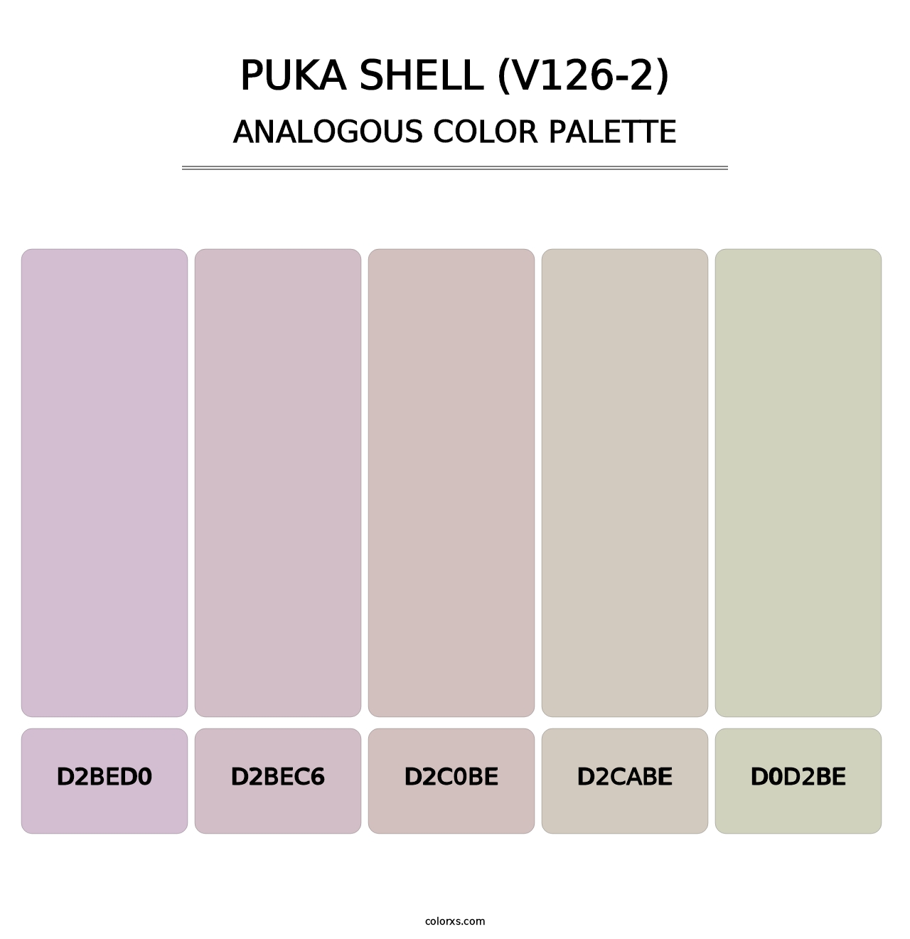 Puka Shell (V126-2) - Analogous Color Palette