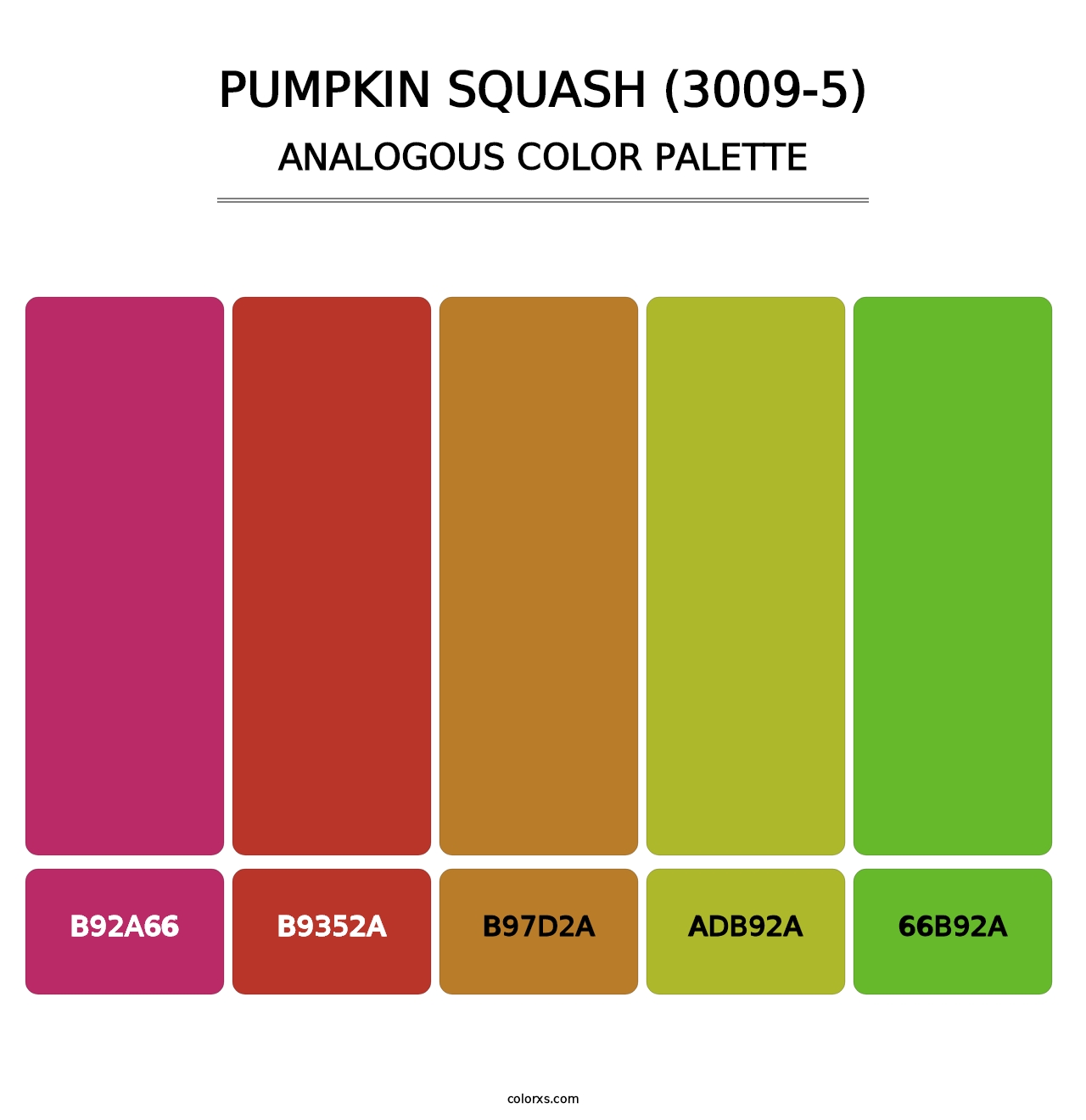 Pumpkin Squash (3009-5) - Analogous Color Palette