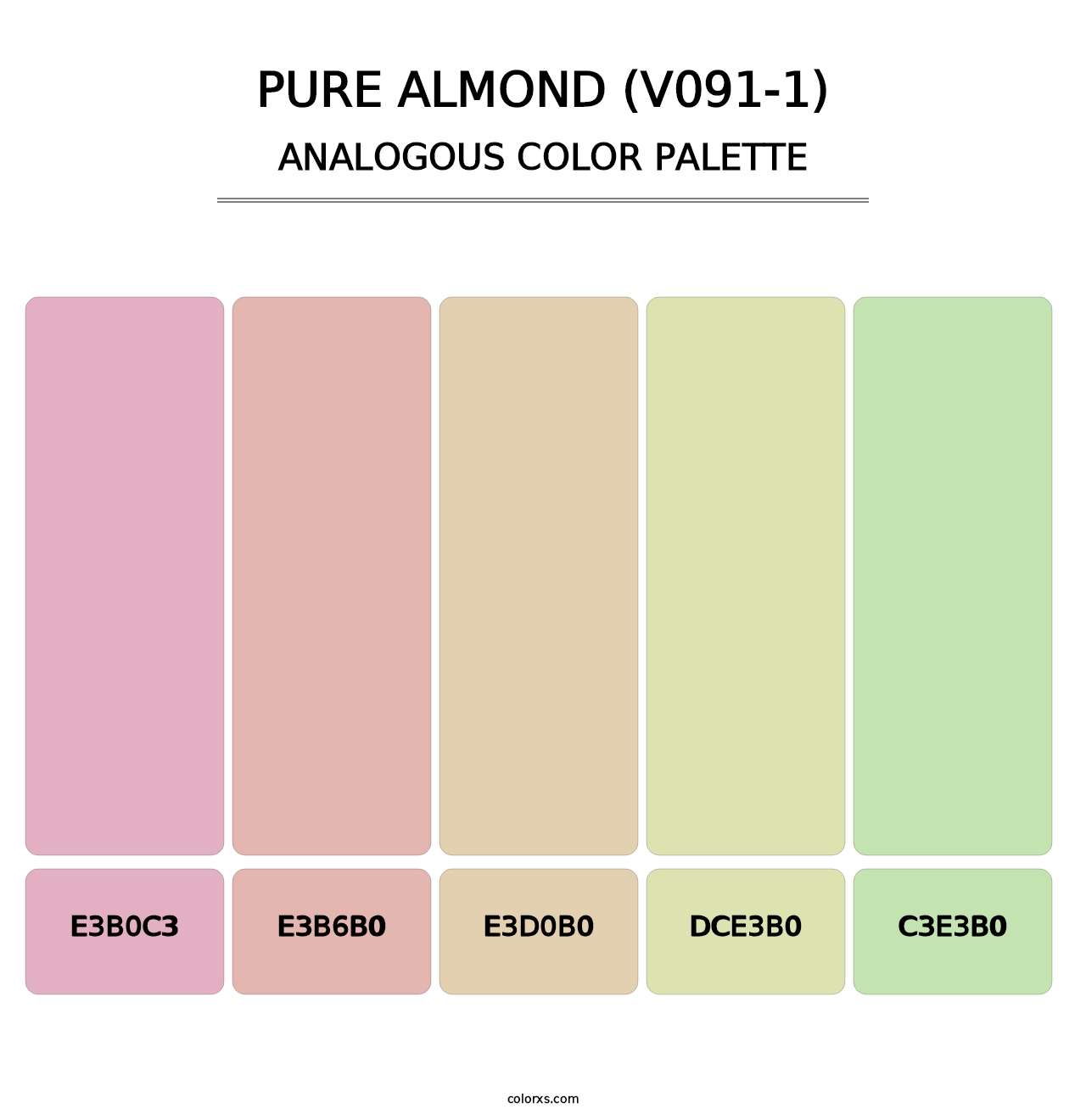 Pure Almond (V091-1) - Analogous Color Palette