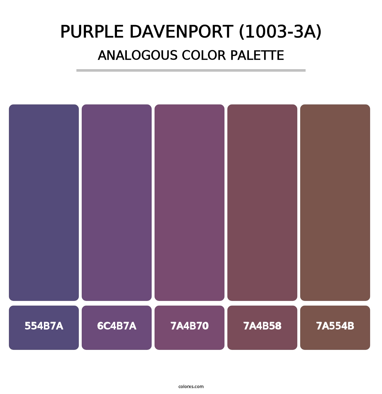 Purple Davenport (1003-3A) - Analogous Color Palette