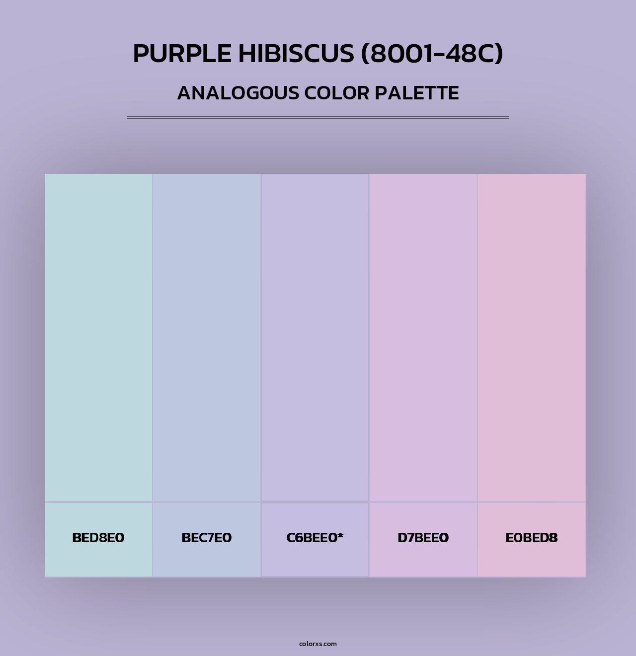 Purple Hibiscus (8001-48C) - Analogous Color Palette