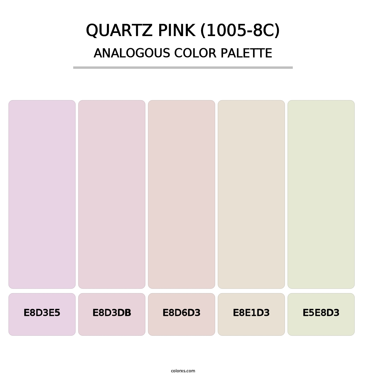 Quartz Pink (1005-8C) - Analogous Color Palette