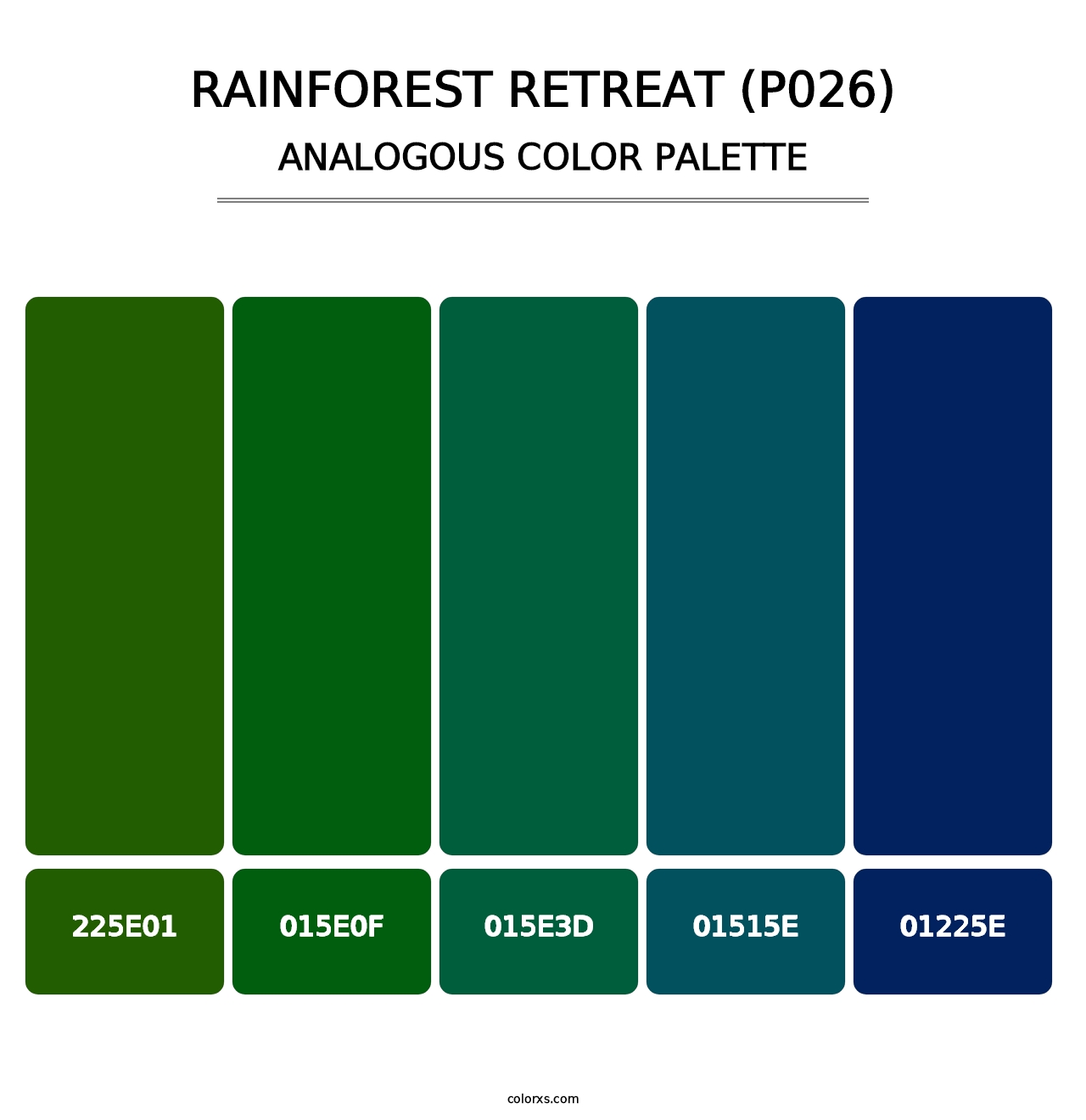 Rainforest Retreat (P026) - Analogous Color Palette