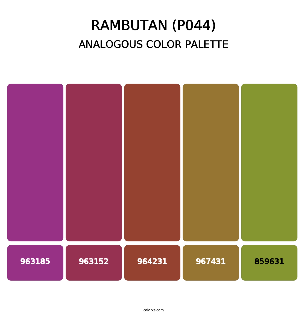 Rambutan (P044) - Analogous Color Palette