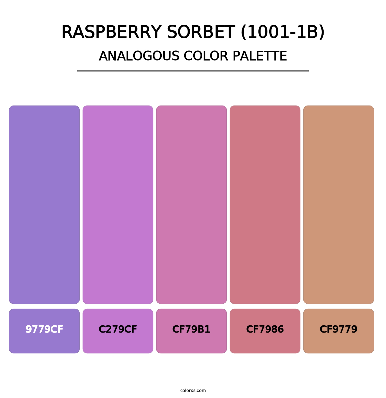 Raspberry Sorbet (1001-1B) - Analogous Color Palette