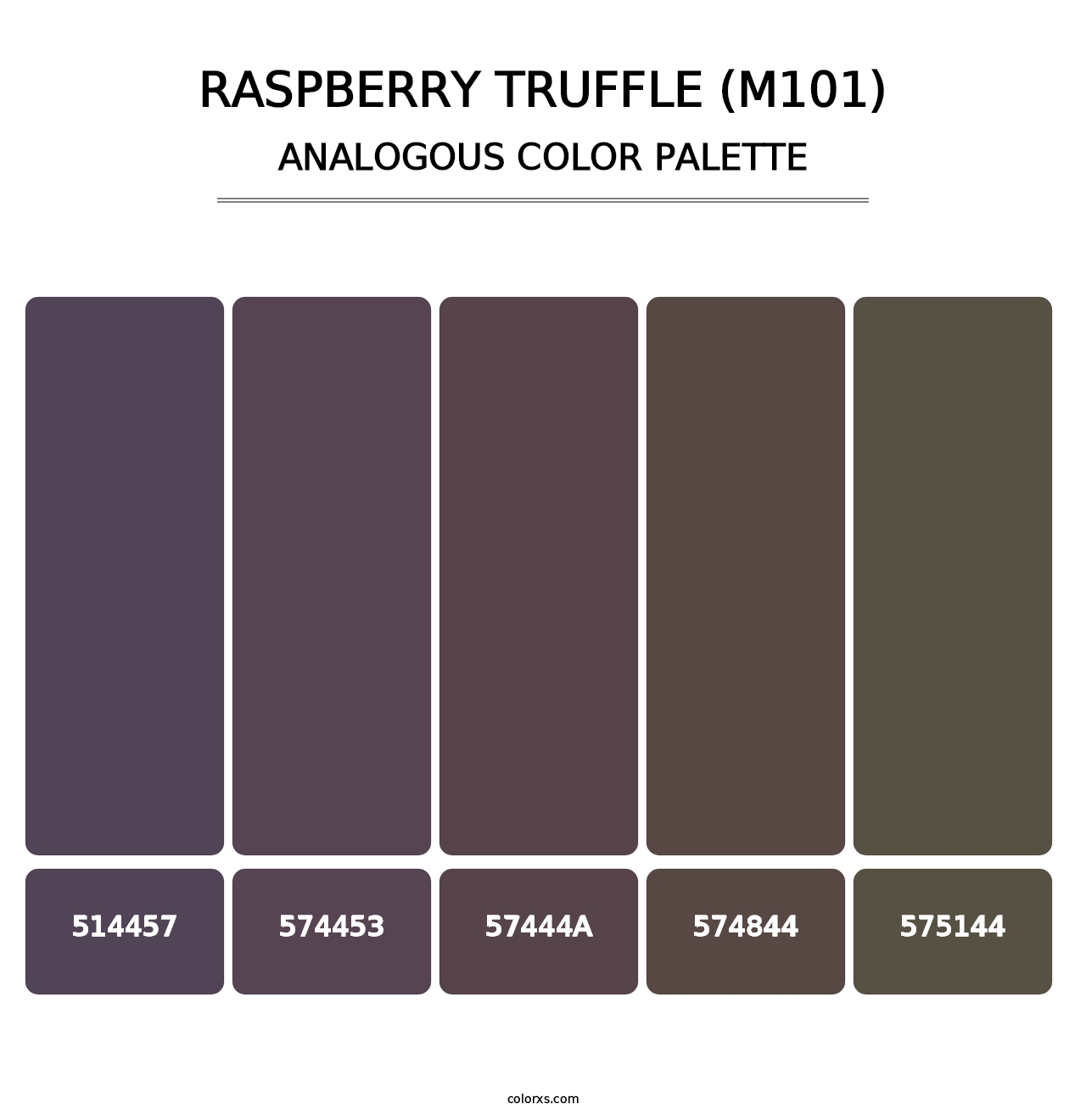 Raspberry Truffle (M101) - Analogous Color Palette