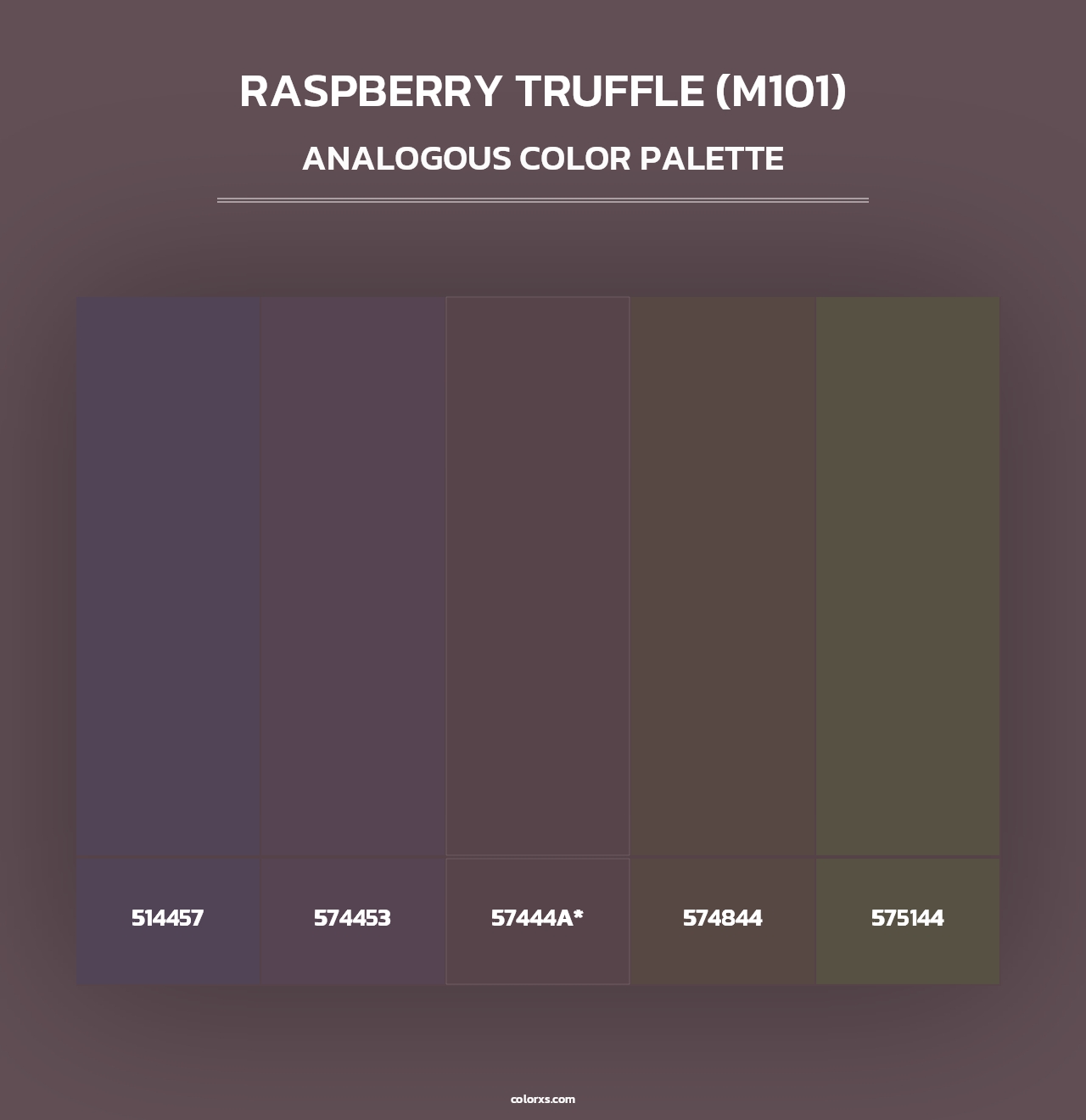 Raspberry Truffle (M101) - Analogous Color Palette