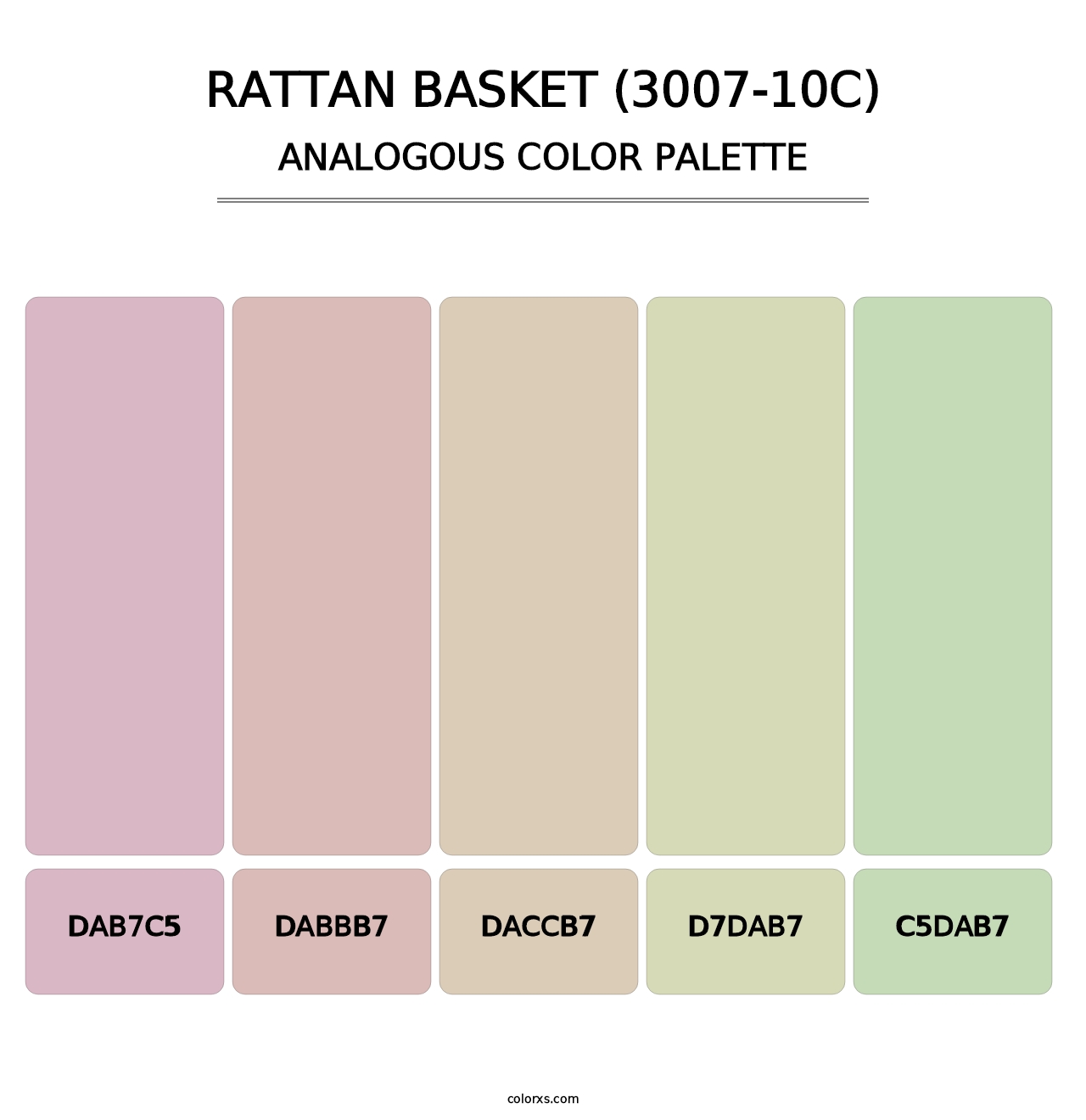 Rattan Basket (3007-10C) - Analogous Color Palette