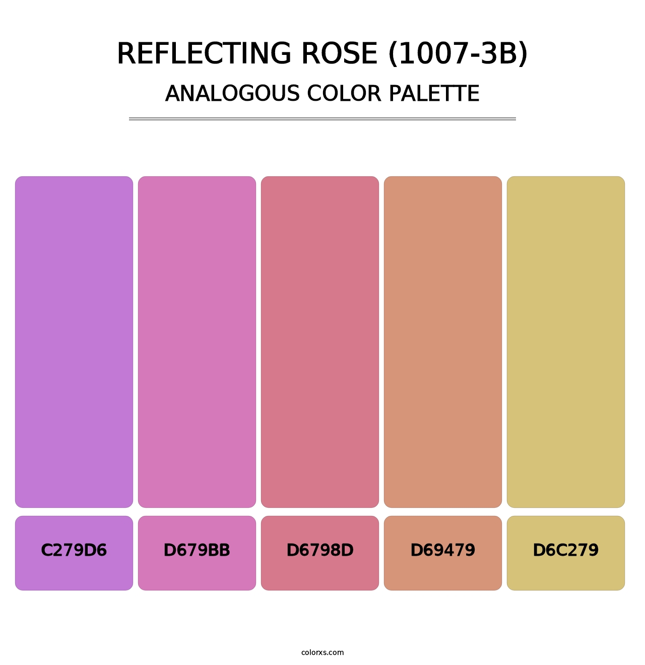 Reflecting Rose (1007-3B) - Analogous Color Palette