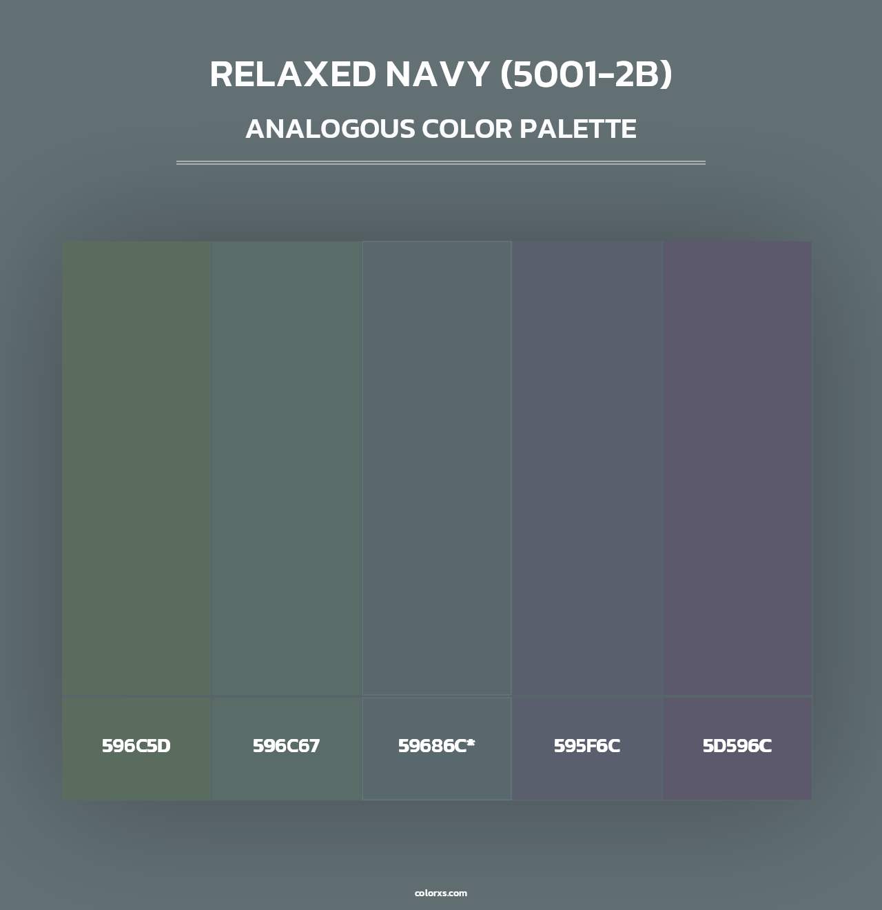 Relaxed Navy (5001-2B) - Analogous Color Palette