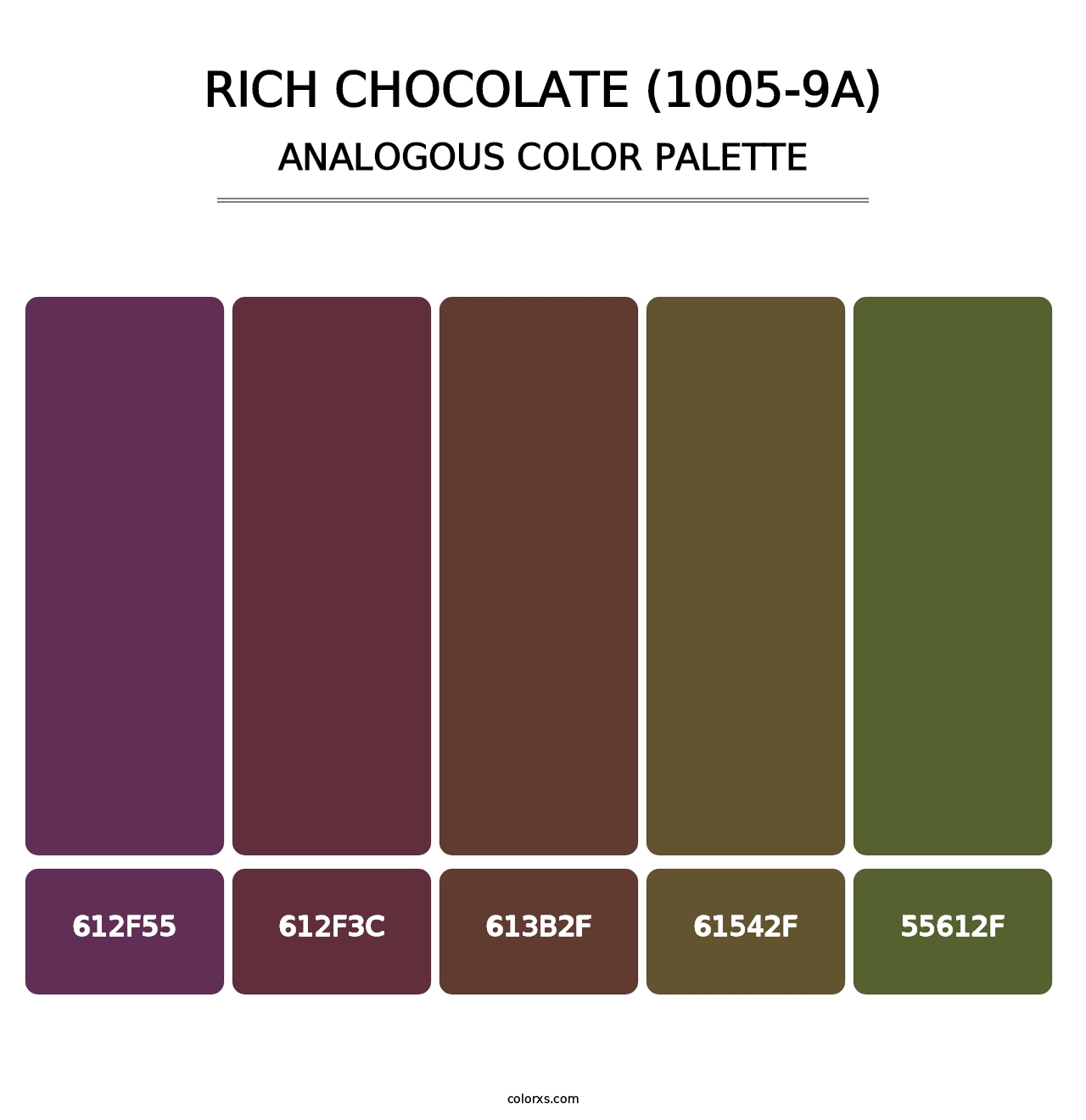 Rich Chocolate (1005-9A) - Analogous Color Palette