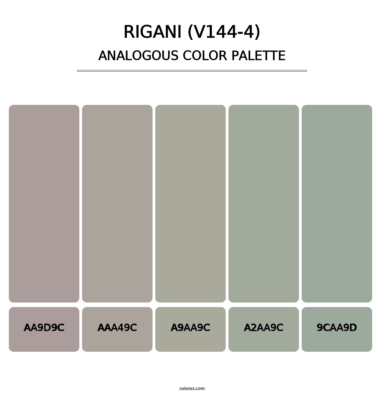 Rigani (V144-4) - Analogous Color Palette