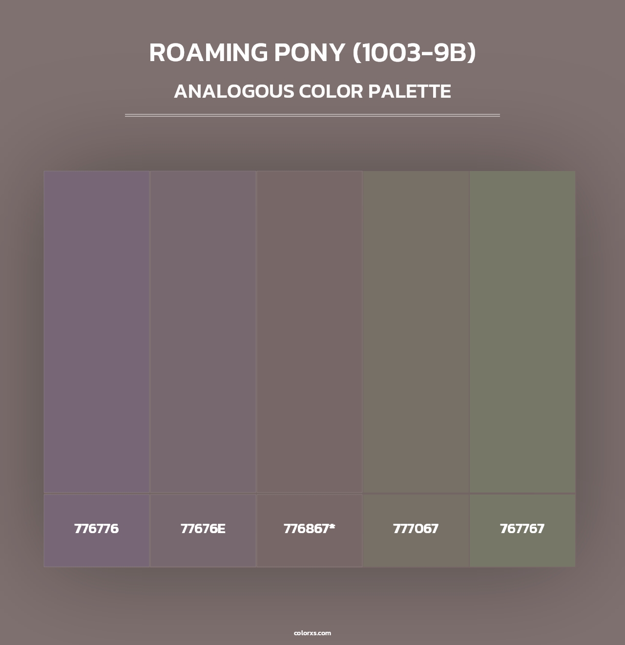 Roaming Pony (1003-9B) - Analogous Color Palette