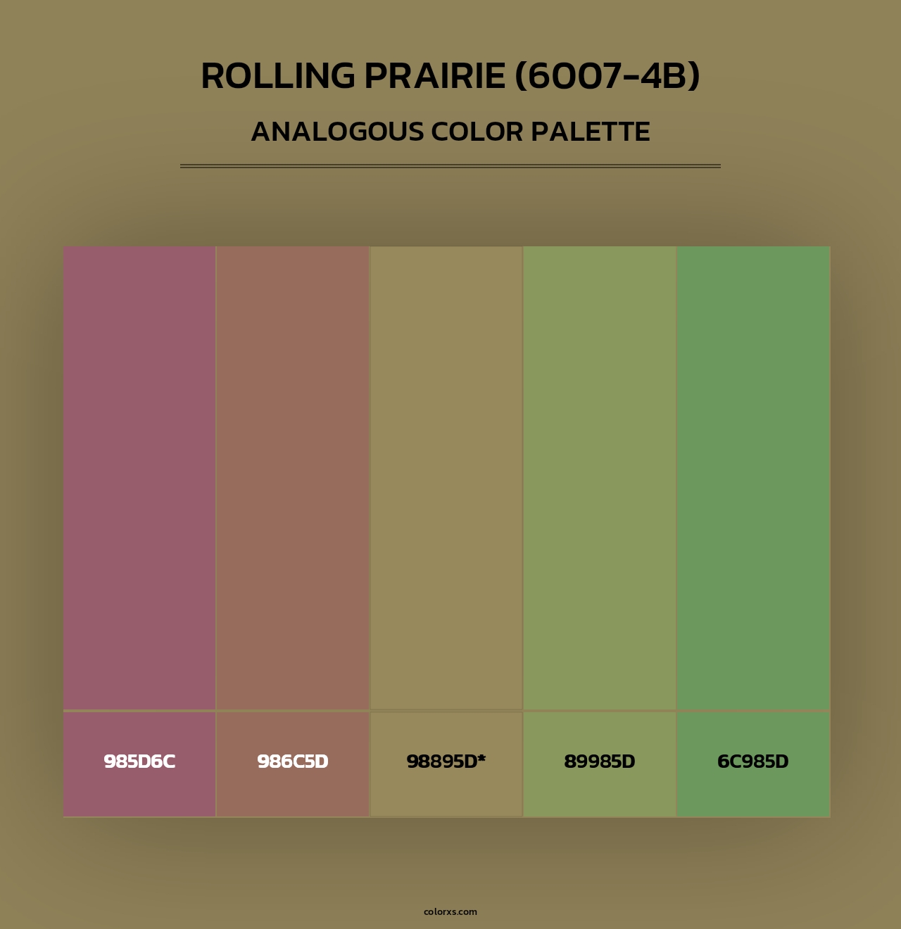 Rolling Prairie (6007-4B) - Analogous Color Palette