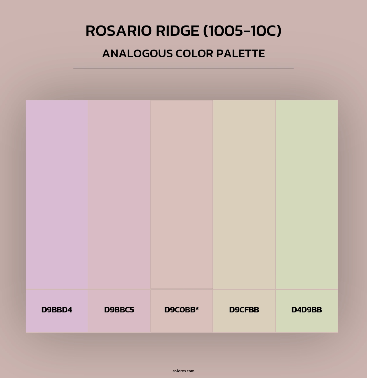 Rosario Ridge (1005-10C) - Analogous Color Palette
