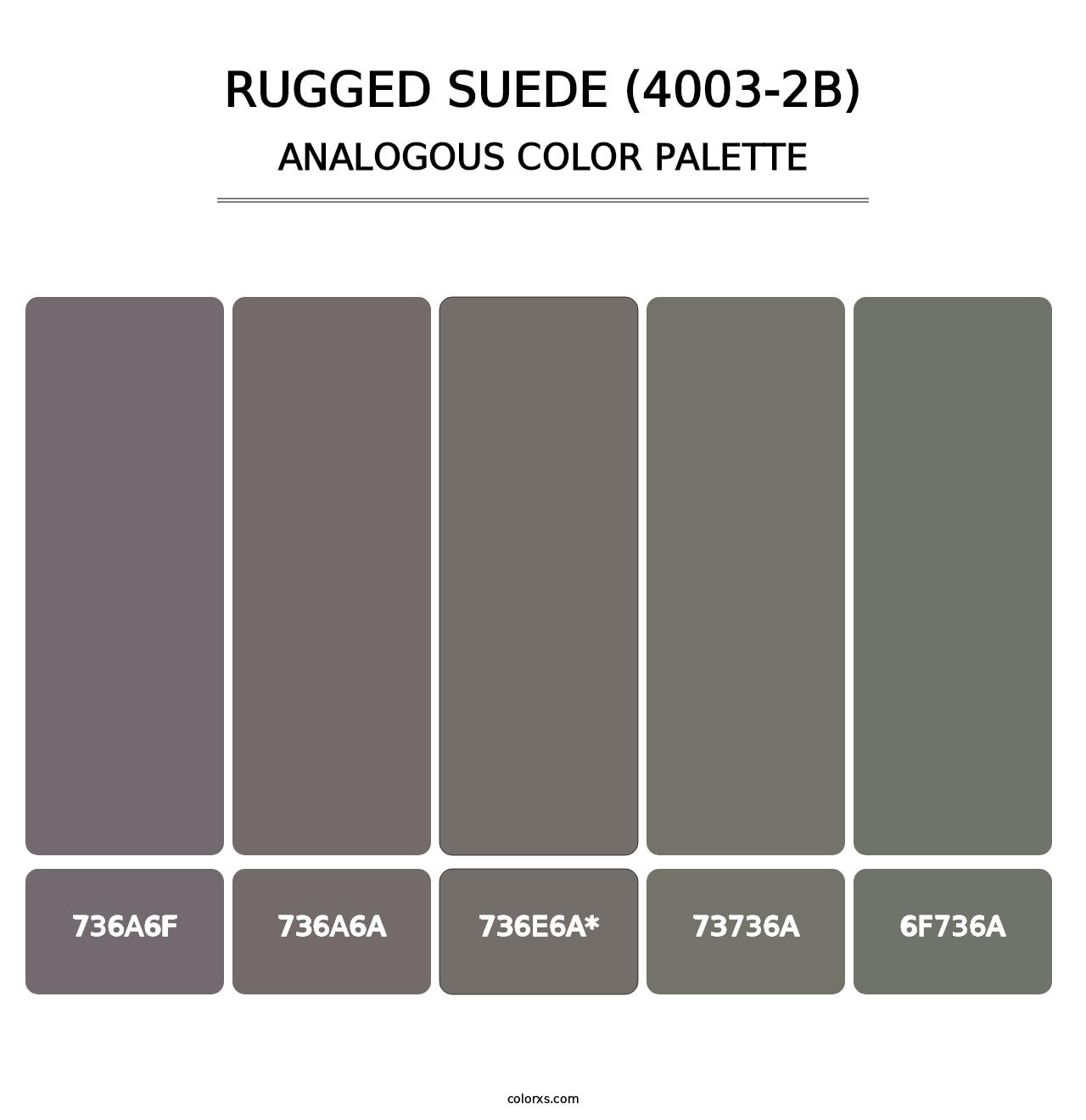 Rugged Suede (4003-2B) - Analogous Color Palette